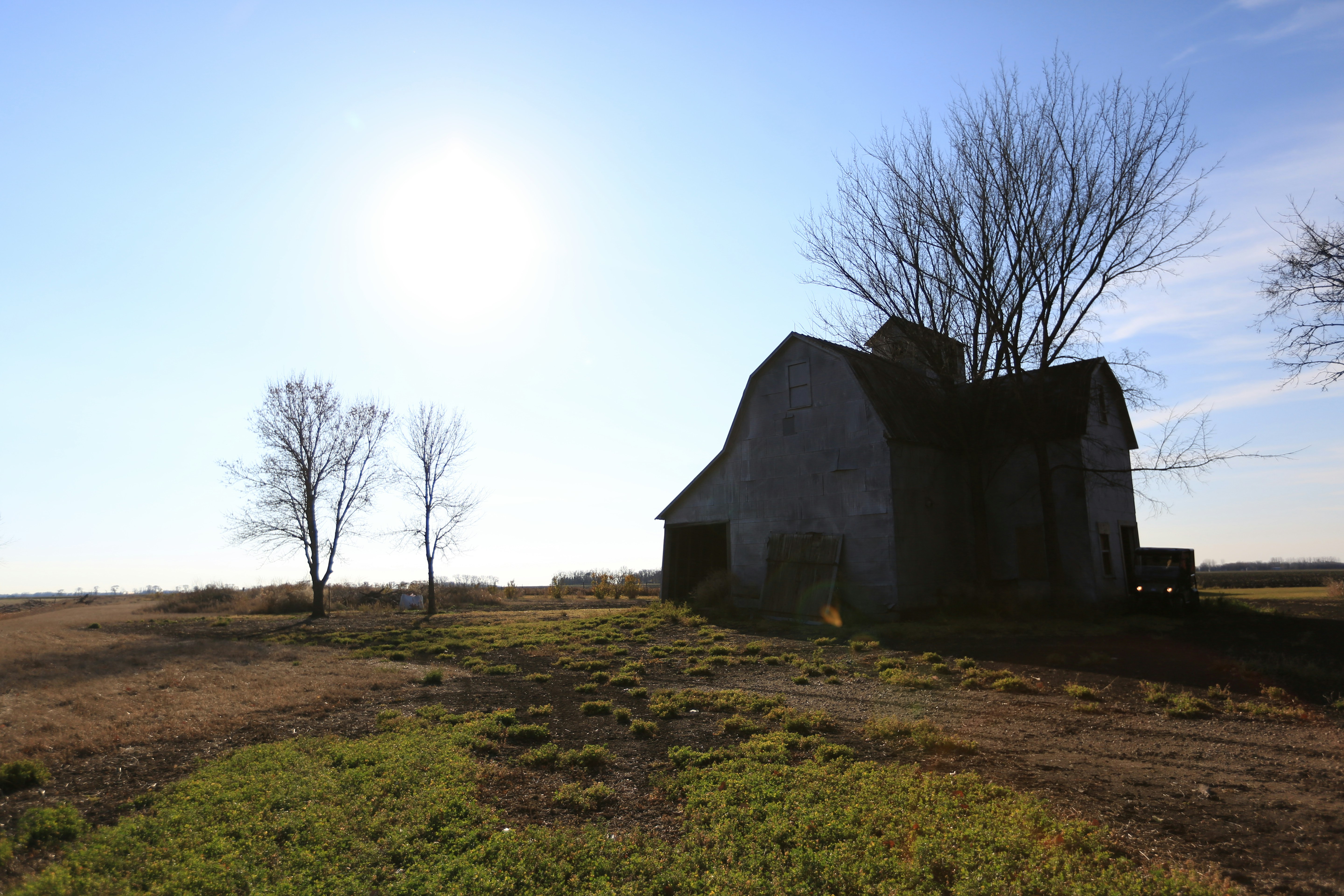 Free Unsplash photo from Adam Kempenich