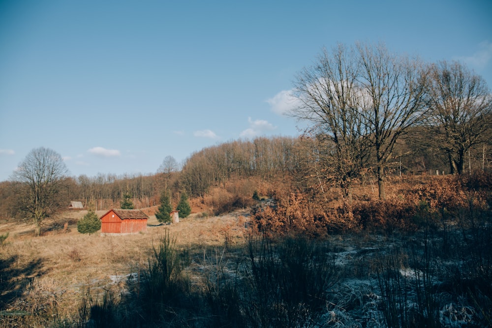 orange and brown house and brown trees