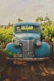 classic blue vehicle between vineyard photo