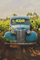 A modern car driving along a vineyard road in Somontano.