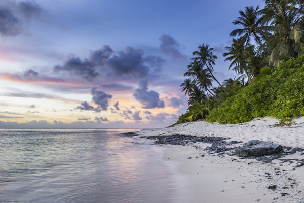 Jamaica: Ideal Weather, Seasons & Best Months for a Visit