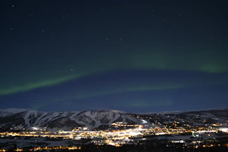 A panoramic view of the Northern Lights shimmering above a snowy Scandinavian forest.