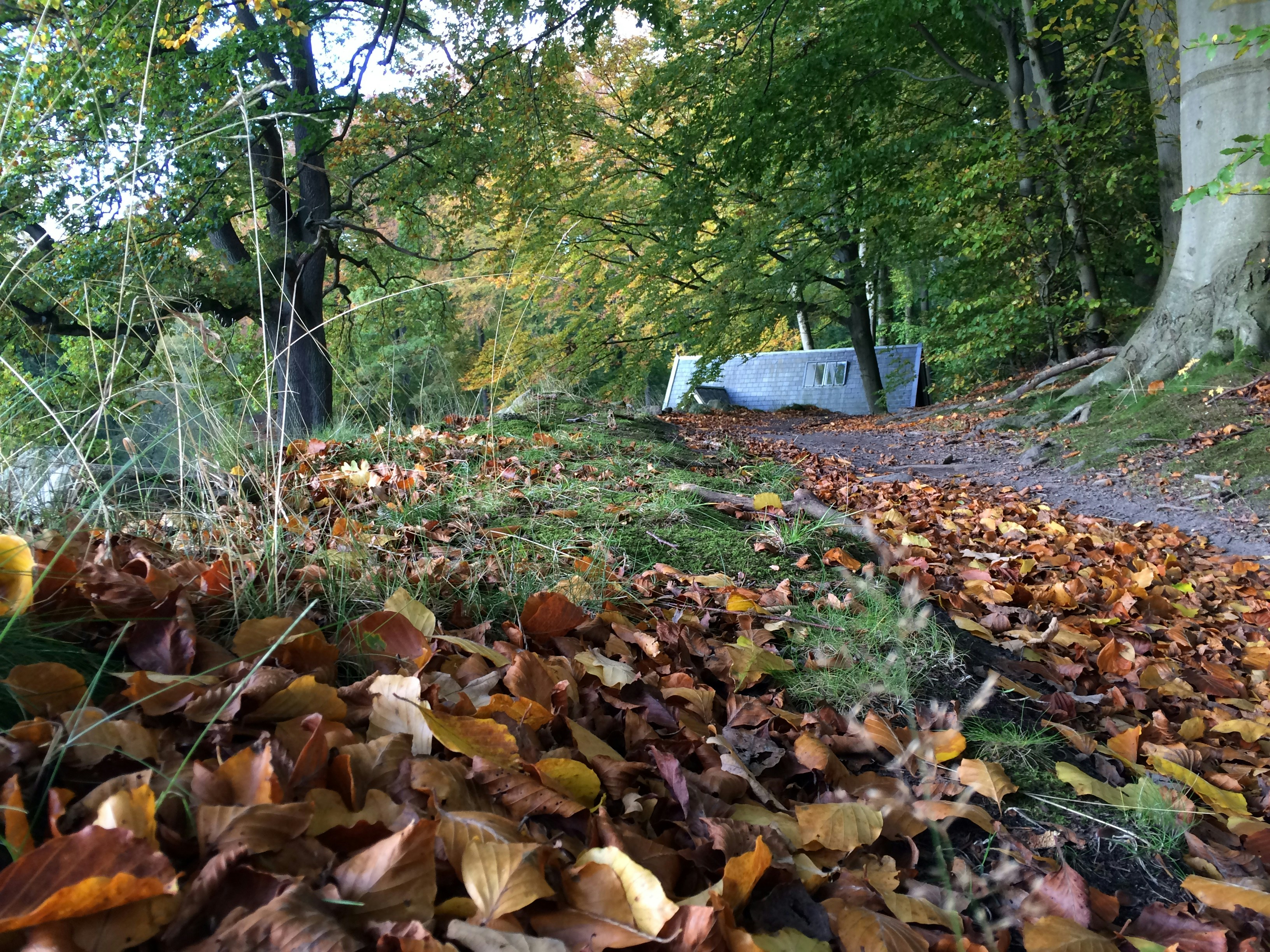 Free Unsplash photo from E. Camilo