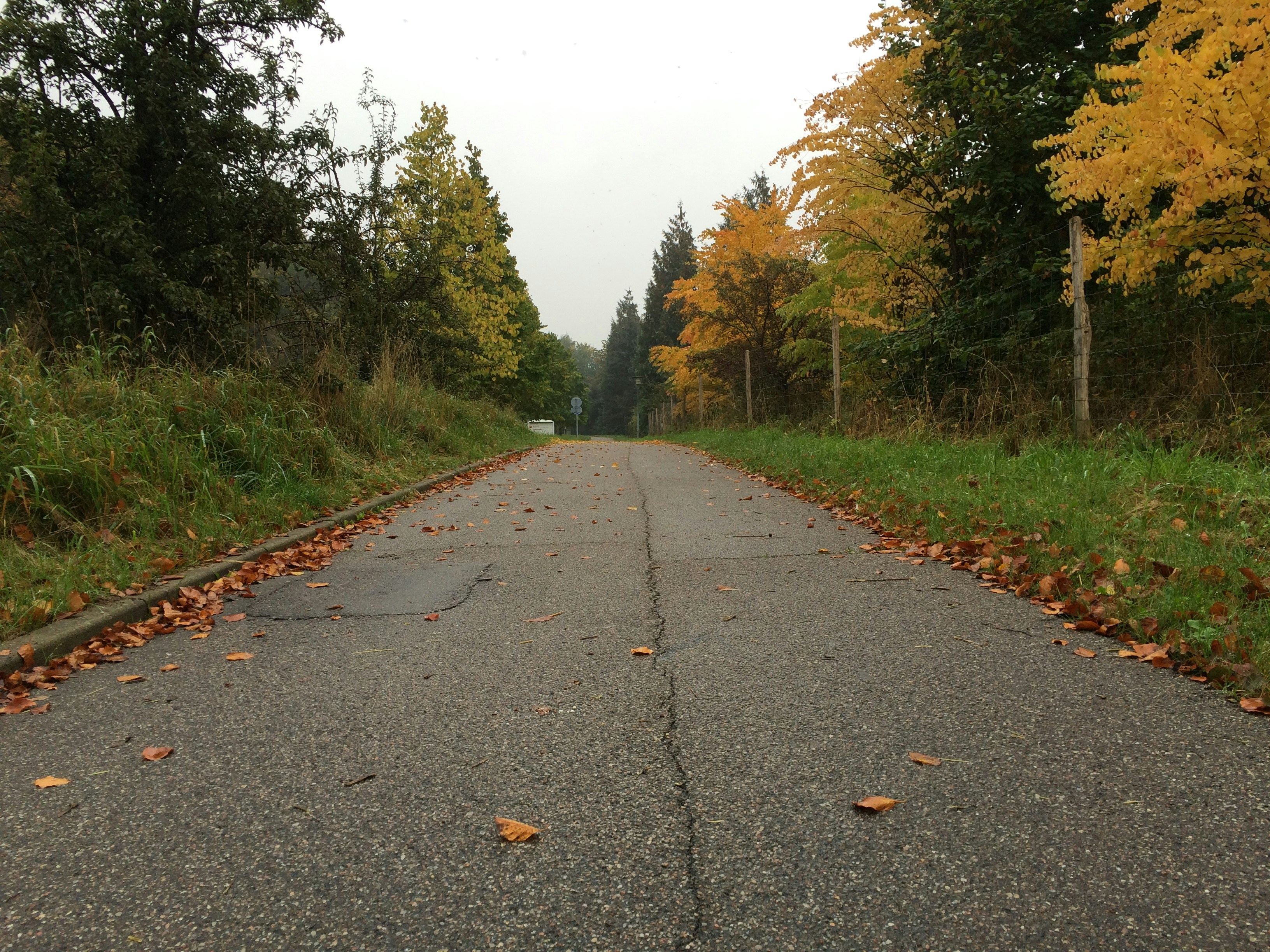 Free Unsplash photo from E. Camilo