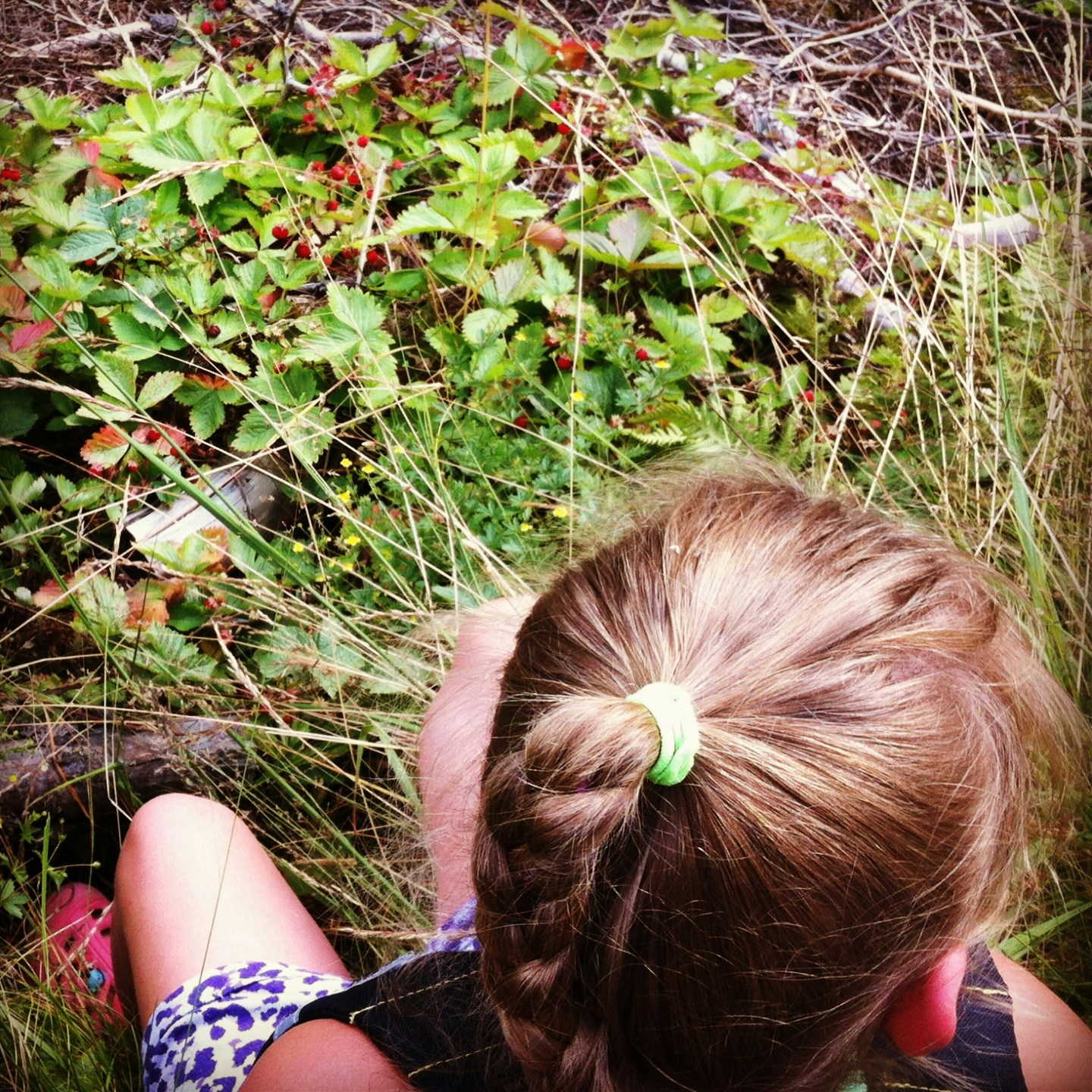 Free Unsplash photo from Aase H. Tjelland