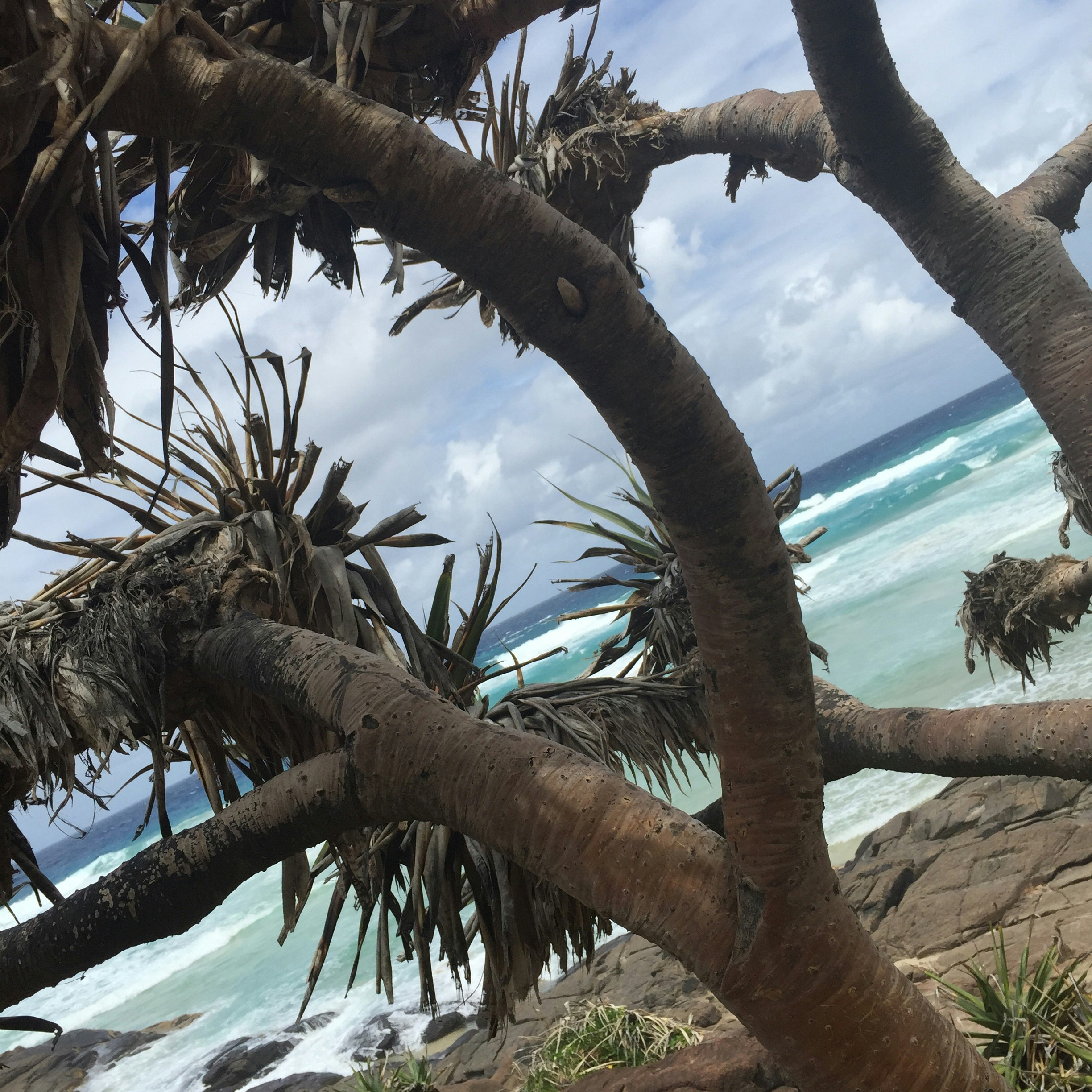 Free Unsplash photo from Aase H. Tjelland