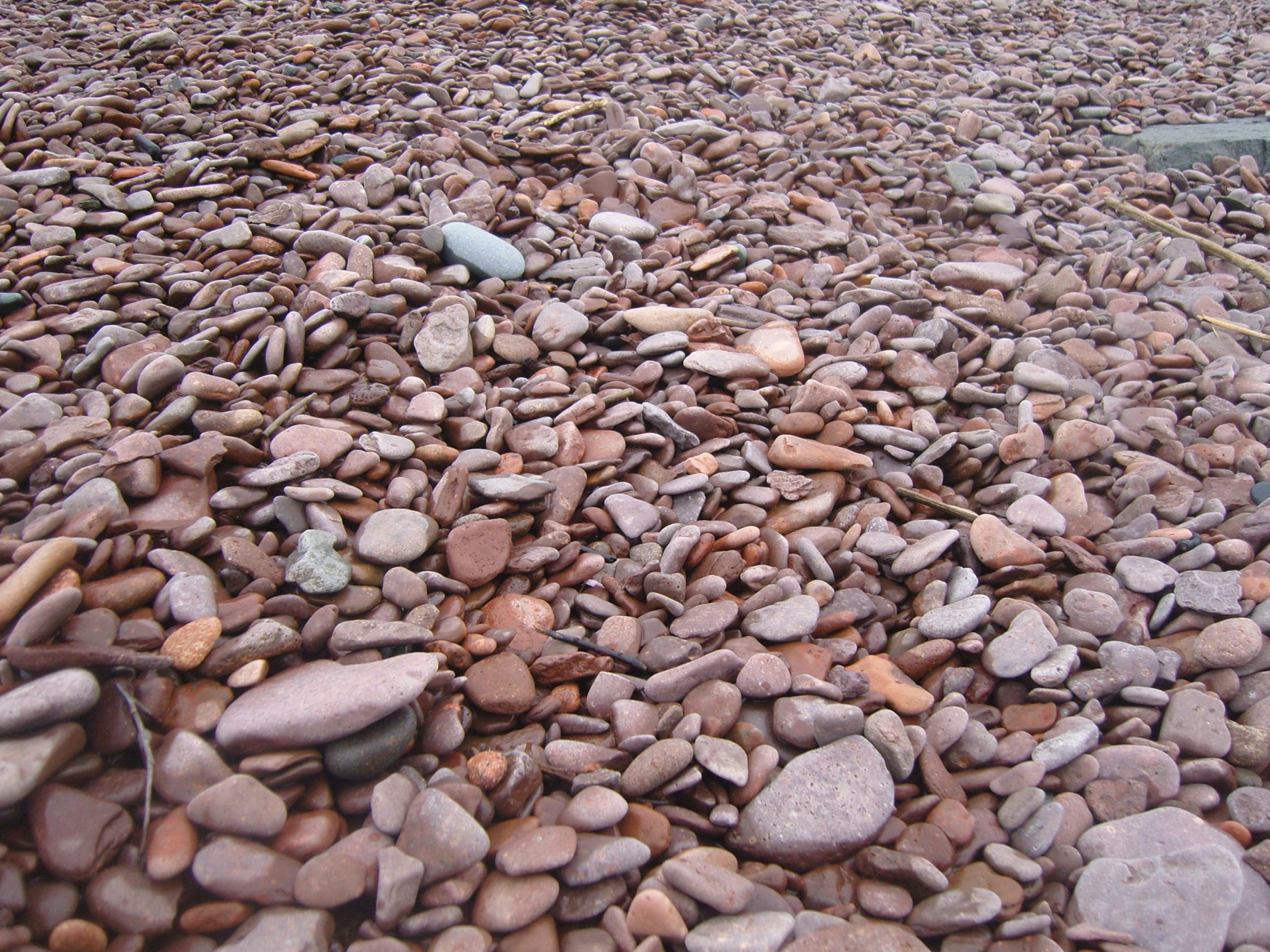 Free Unsplash photo from Aase H. Tjelland