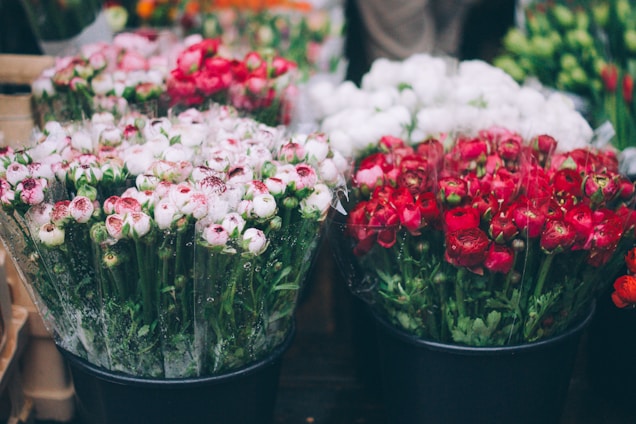 Multiple bouquets of various colored flowers are arranged in black buckets, featuring shades such as white with pink tips, deep red, and hints of orange. The bouquets are tightly wrapped in transparent plastic, and the flowers appear fresh and vibrant. The setting suggests a market or florist shop.