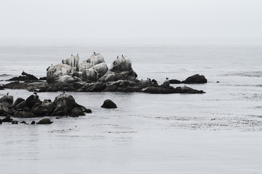 photographie de paysage de rochers de bord de mer