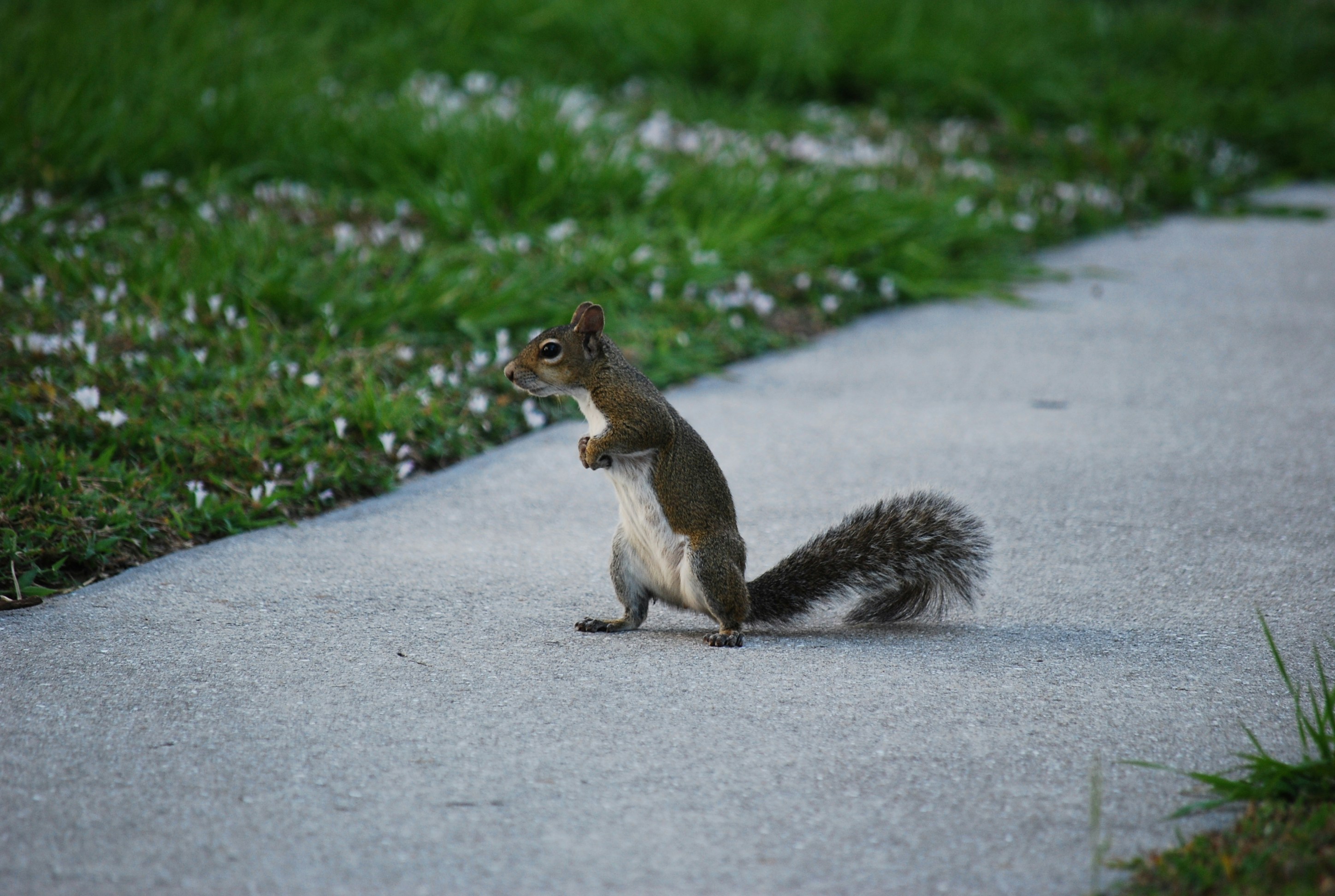 Free Unsplash photo from Vitali Seminenko