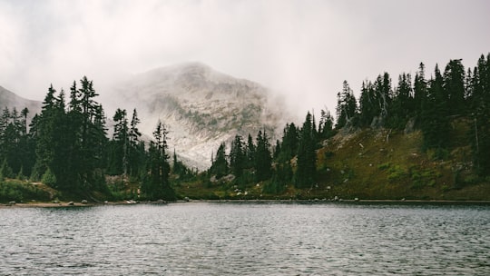 lake in forest near mountain in North Cascades National Park United States