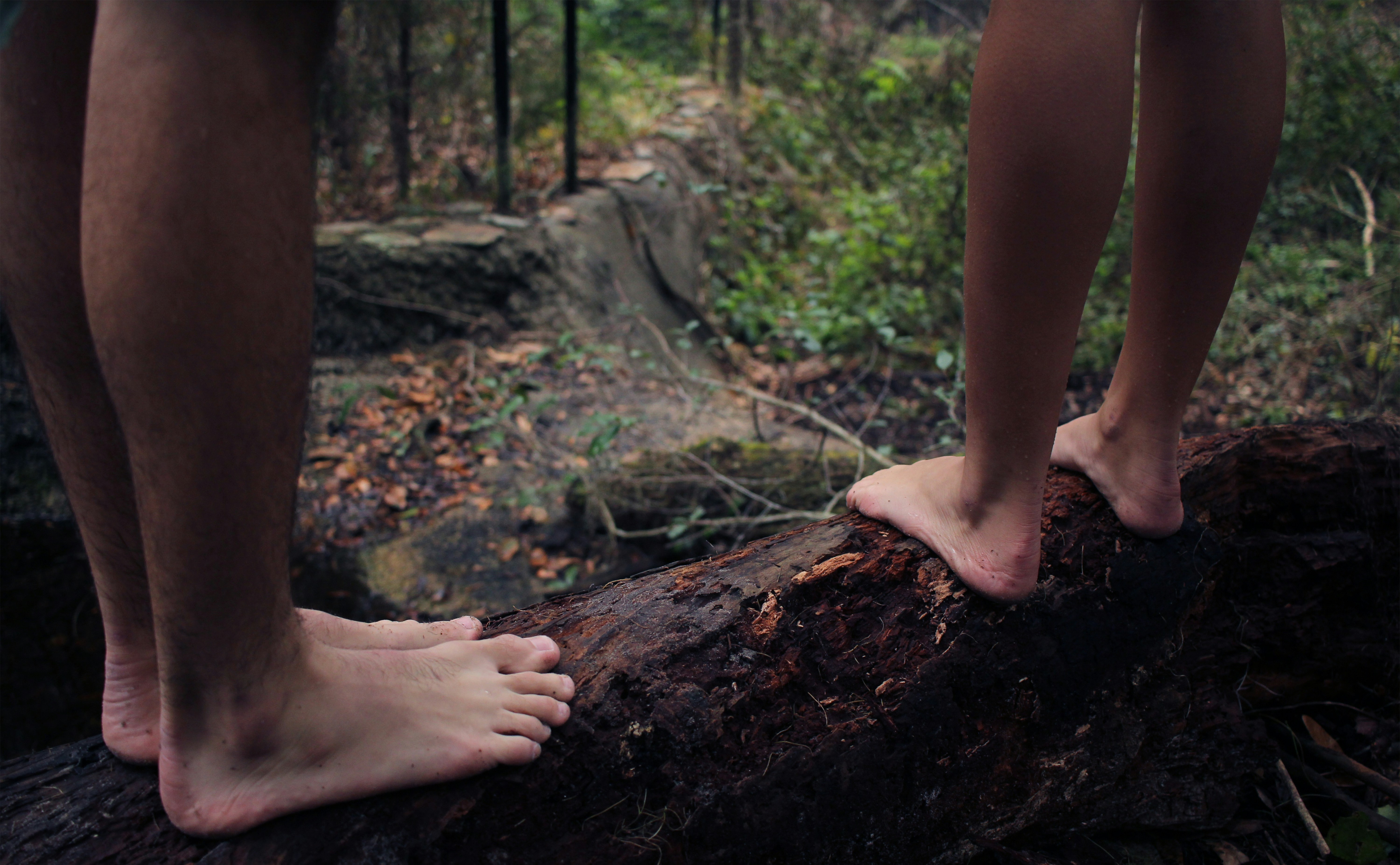 Photo By Nicole Harrington