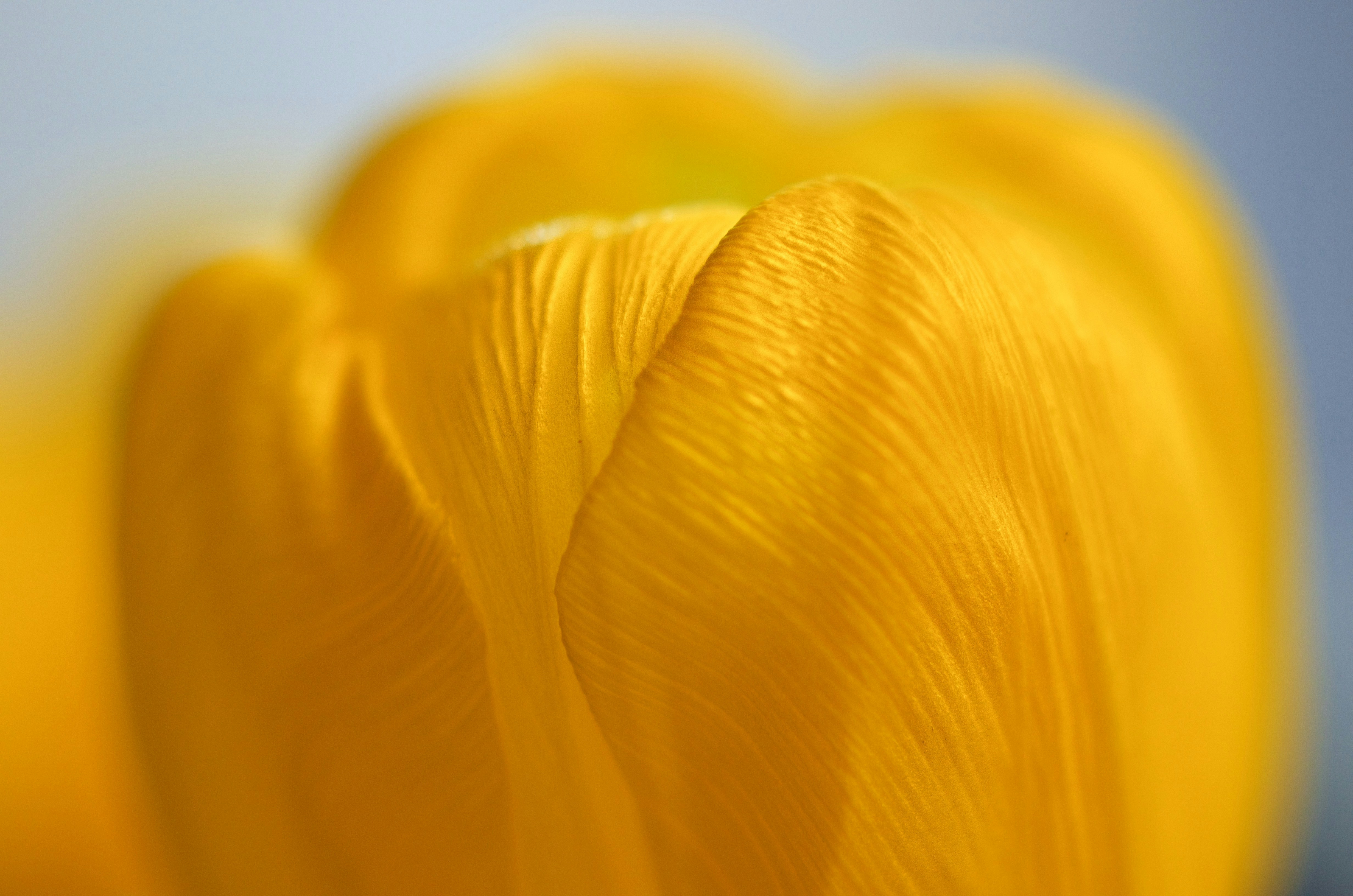 Free Unsplash photo from Kevin LEE