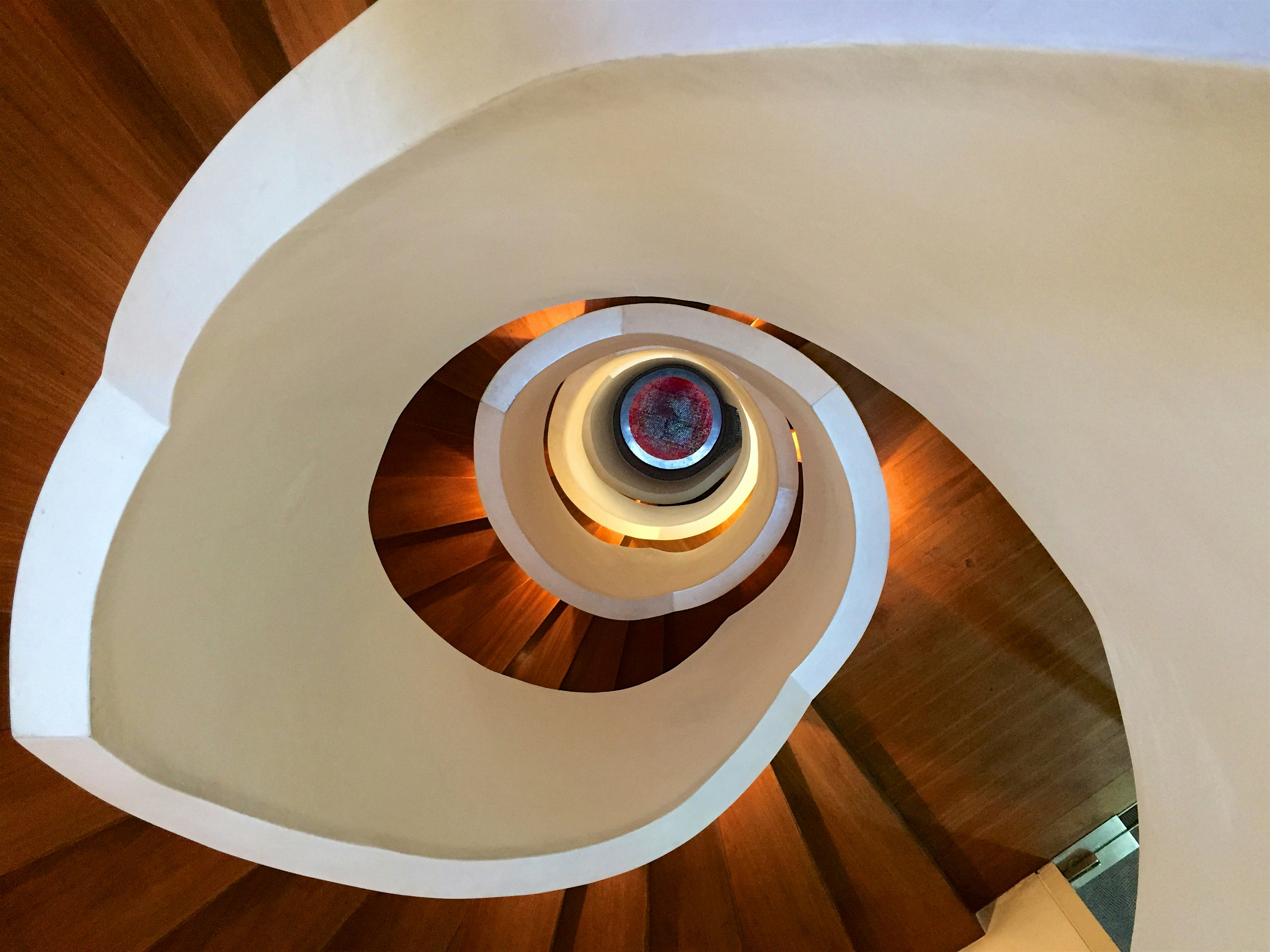 Free Unsplash photo from Kevin LEE