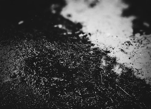 A moody black-and-white frame from a suspenseful thriller project.
