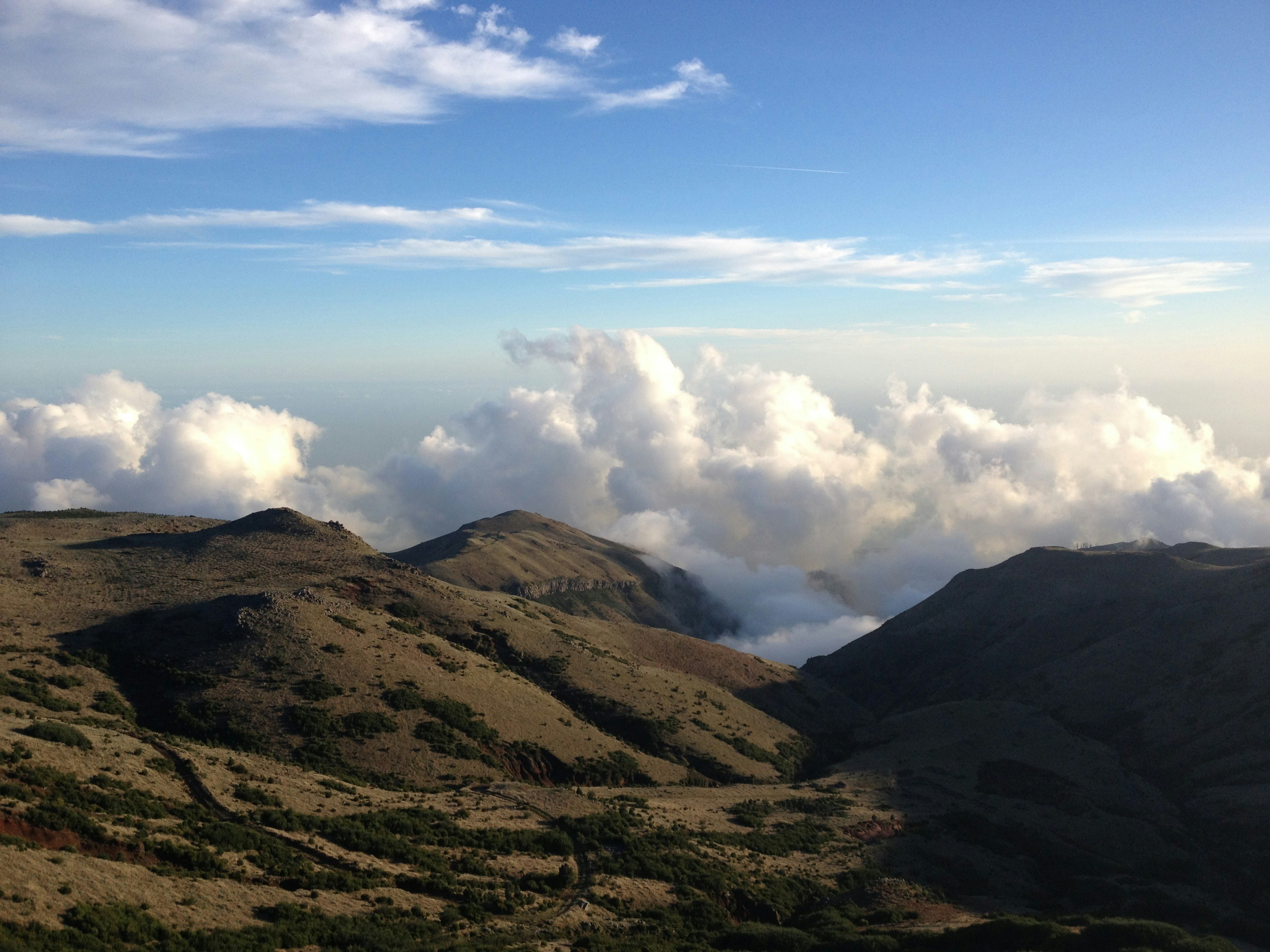 Free Unsplash photo from Dinarte Jesus