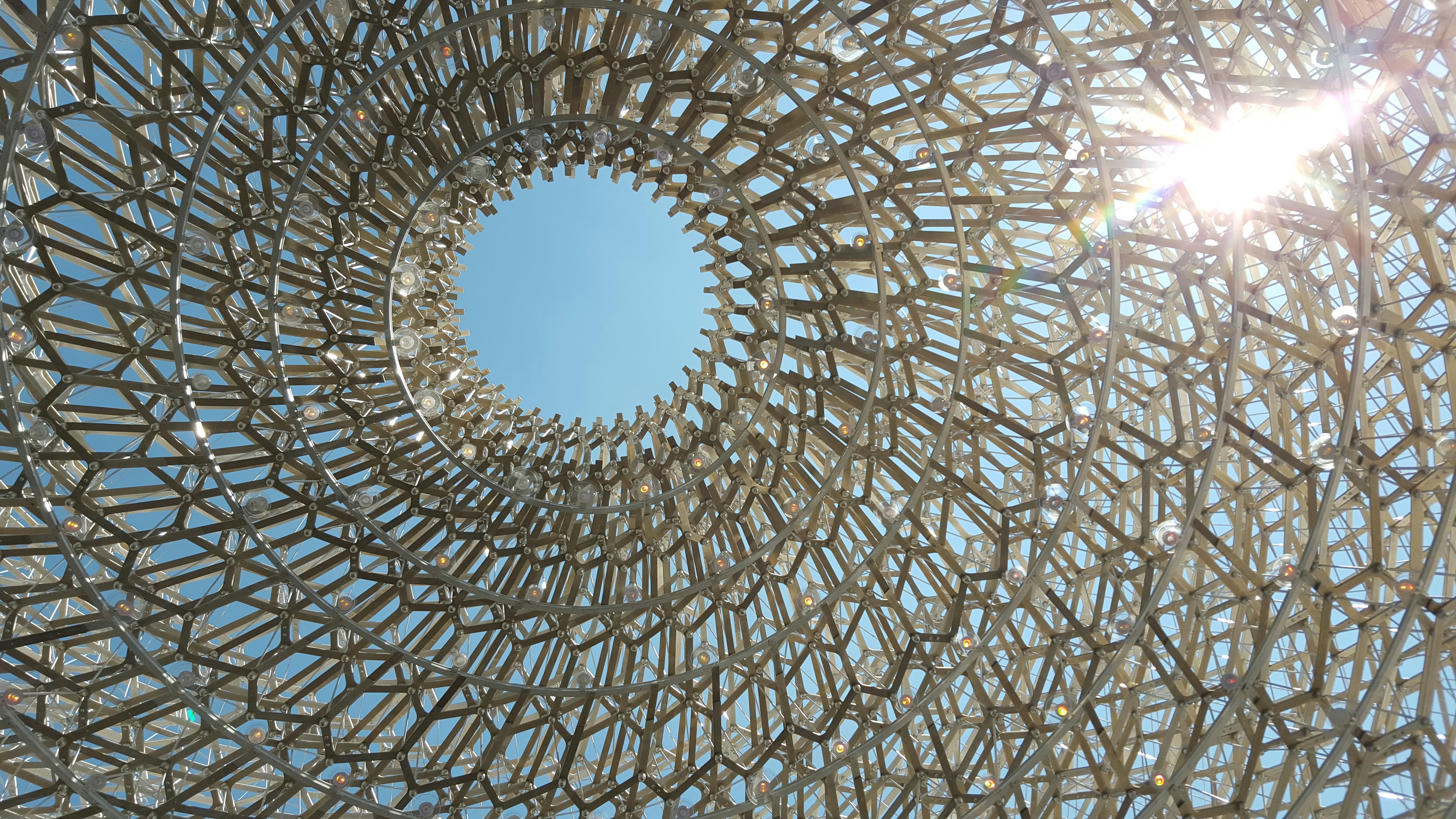 Free Unsplash photo from Riyad Ounallah