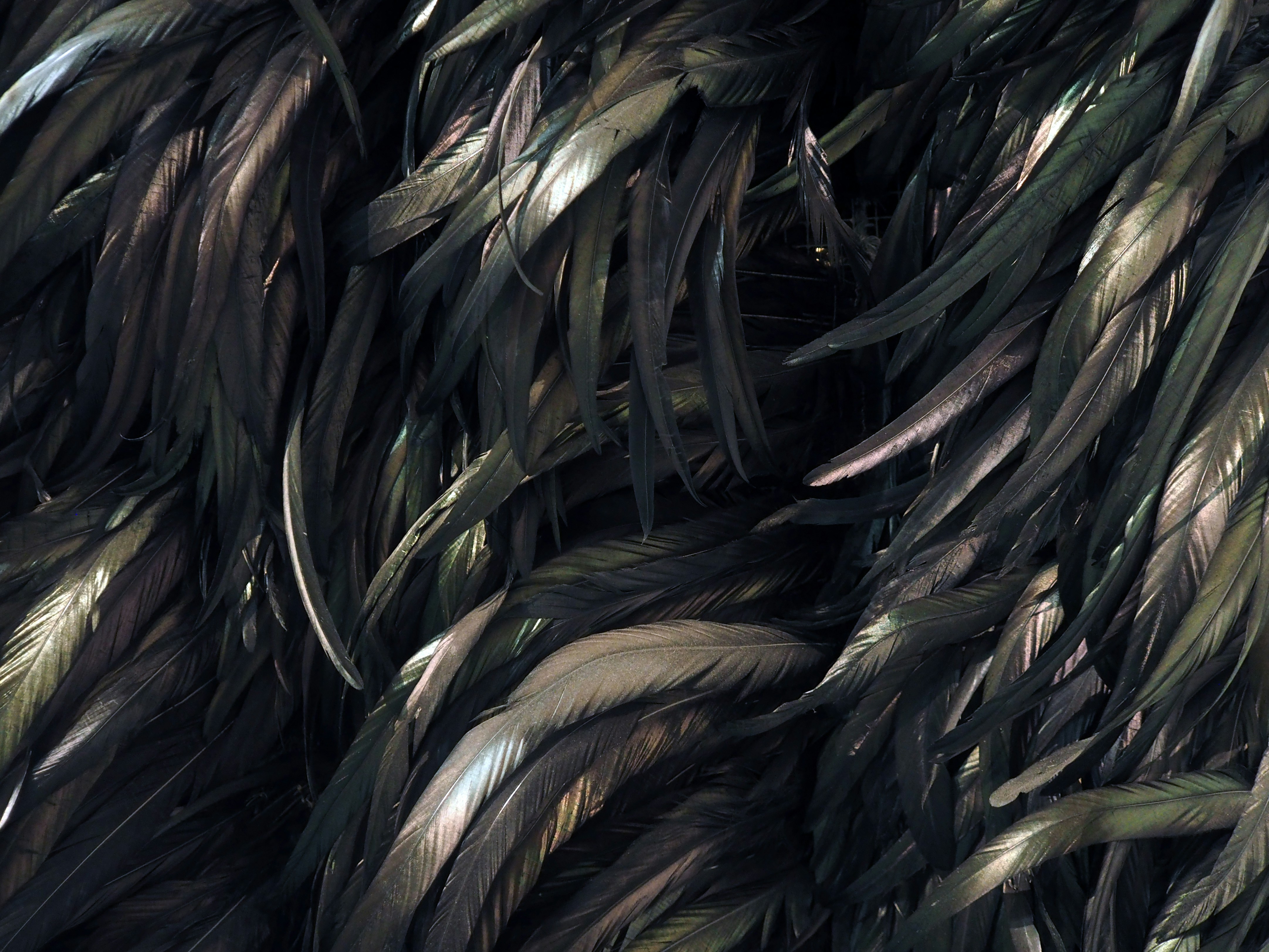 Free Unsplash photo from Federico Giampieri