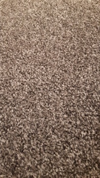 Close-up of a luxurious tufted rug with intricate patterns and rich textures.