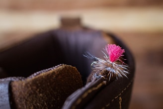 Close-up of a meticulously tied dry fly with vibrant feathers and fine details.