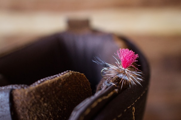 Close-up of a meticulously tied dry fly with vibrant feathers and fine details.