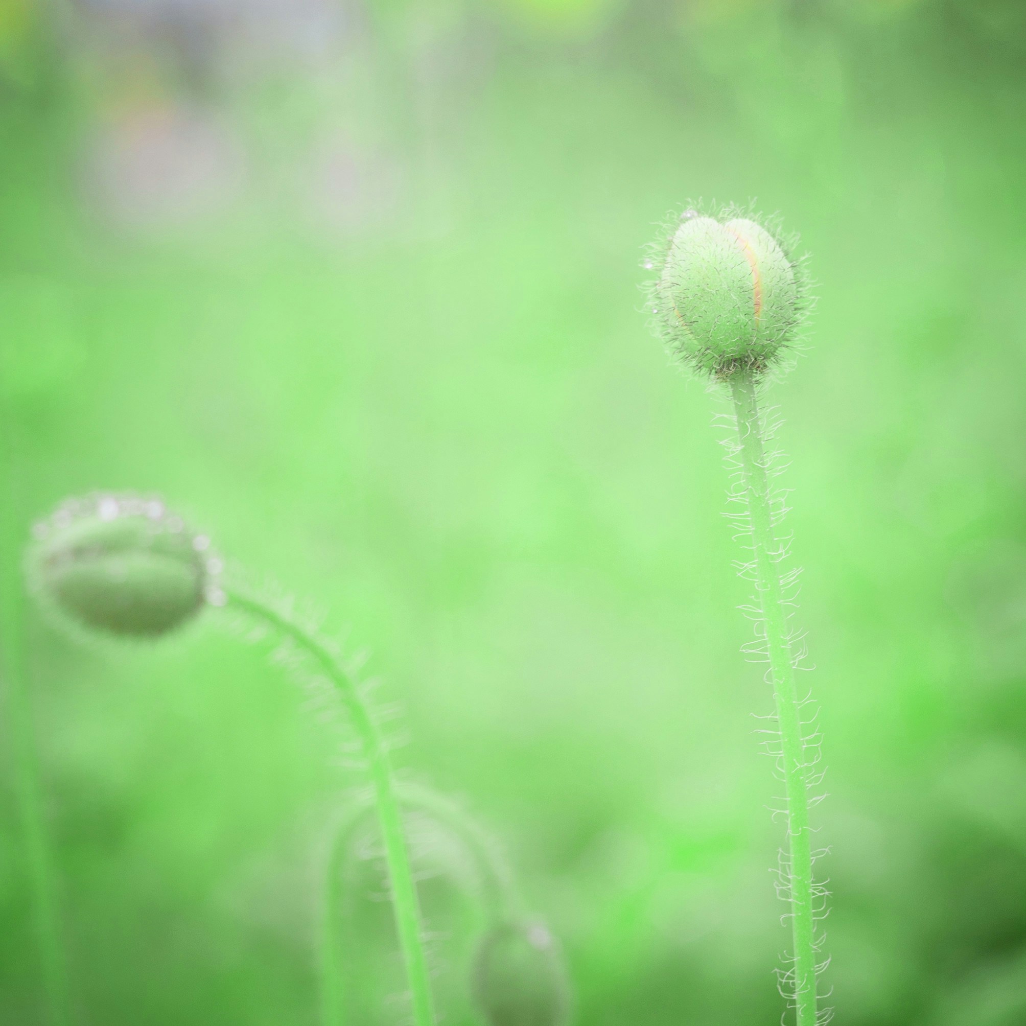 Free Unsplash photo from Lin Wensheng