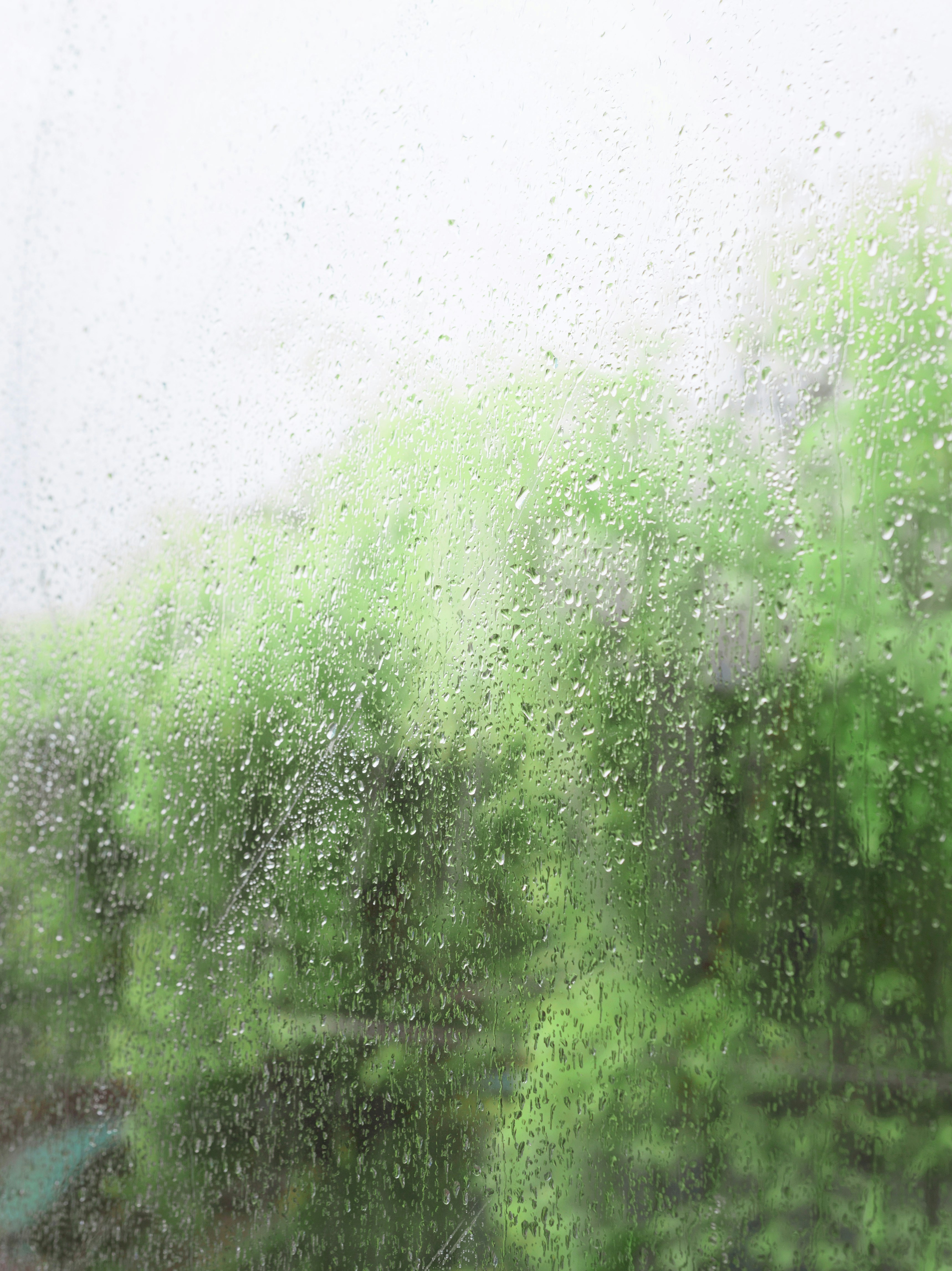 Free Unsplash photo from Lin Wensheng