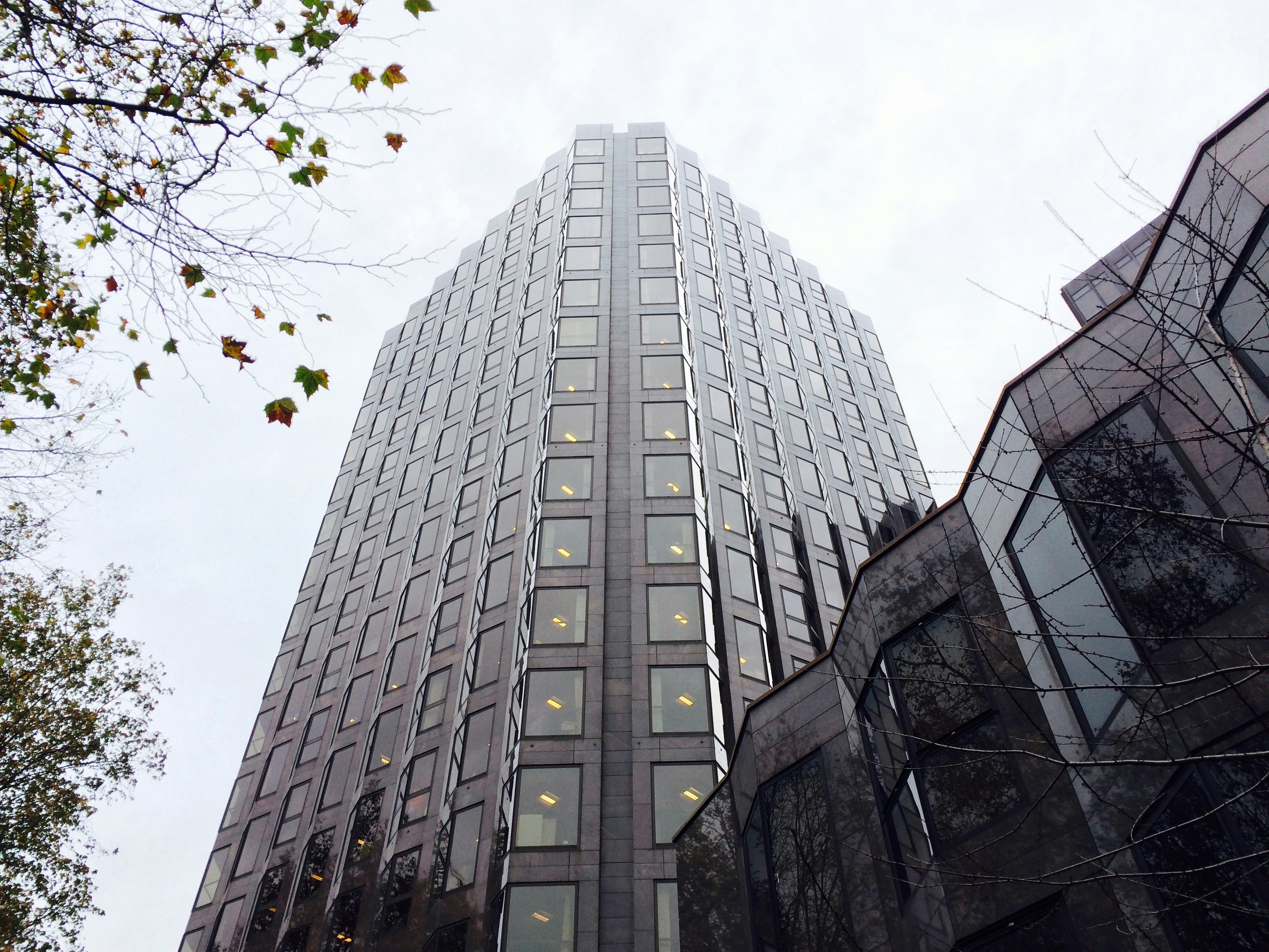 Free Unsplash photo from Emanuel Ferreira