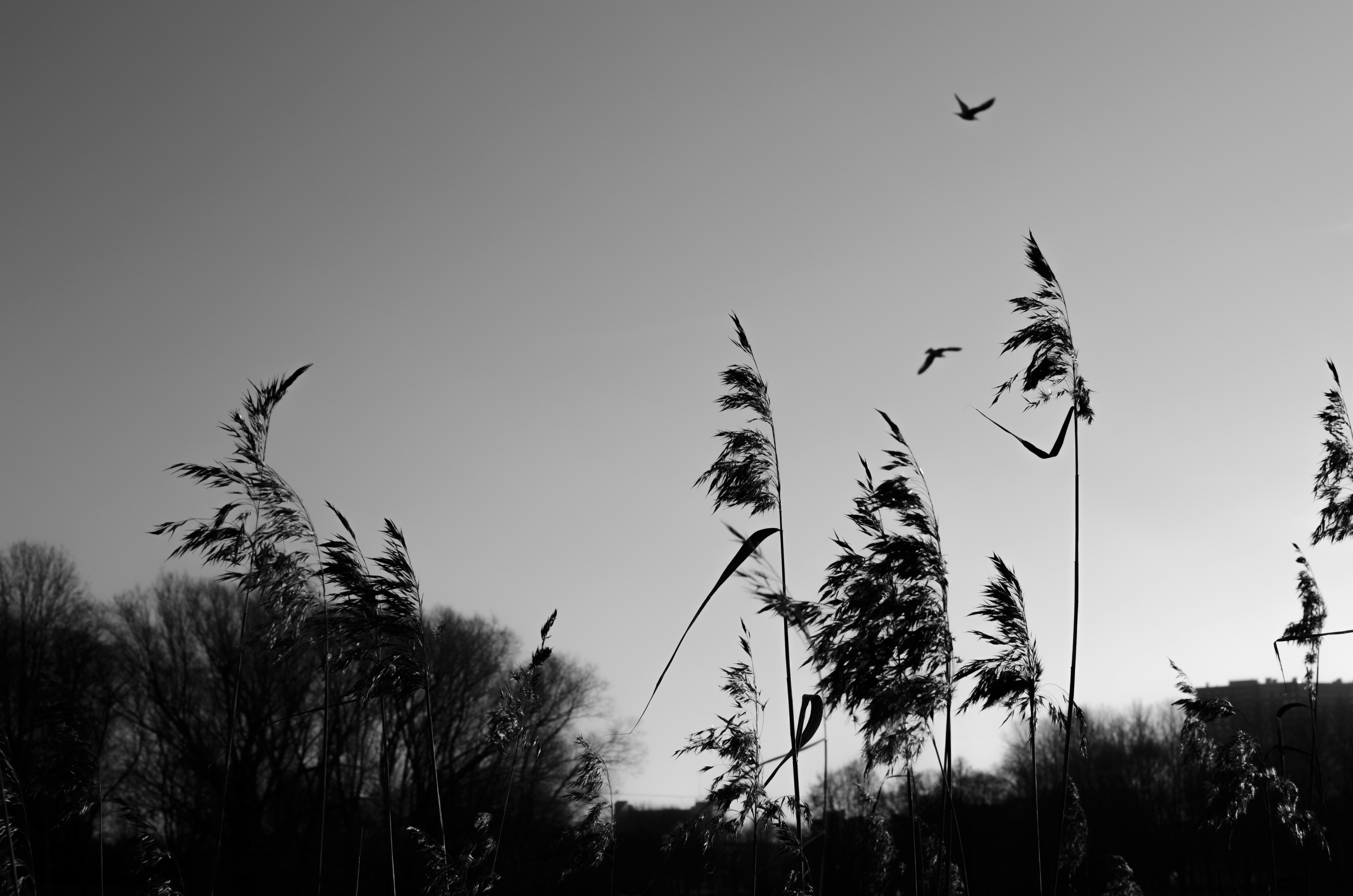 Free Unsplash photo from Kate Chikina