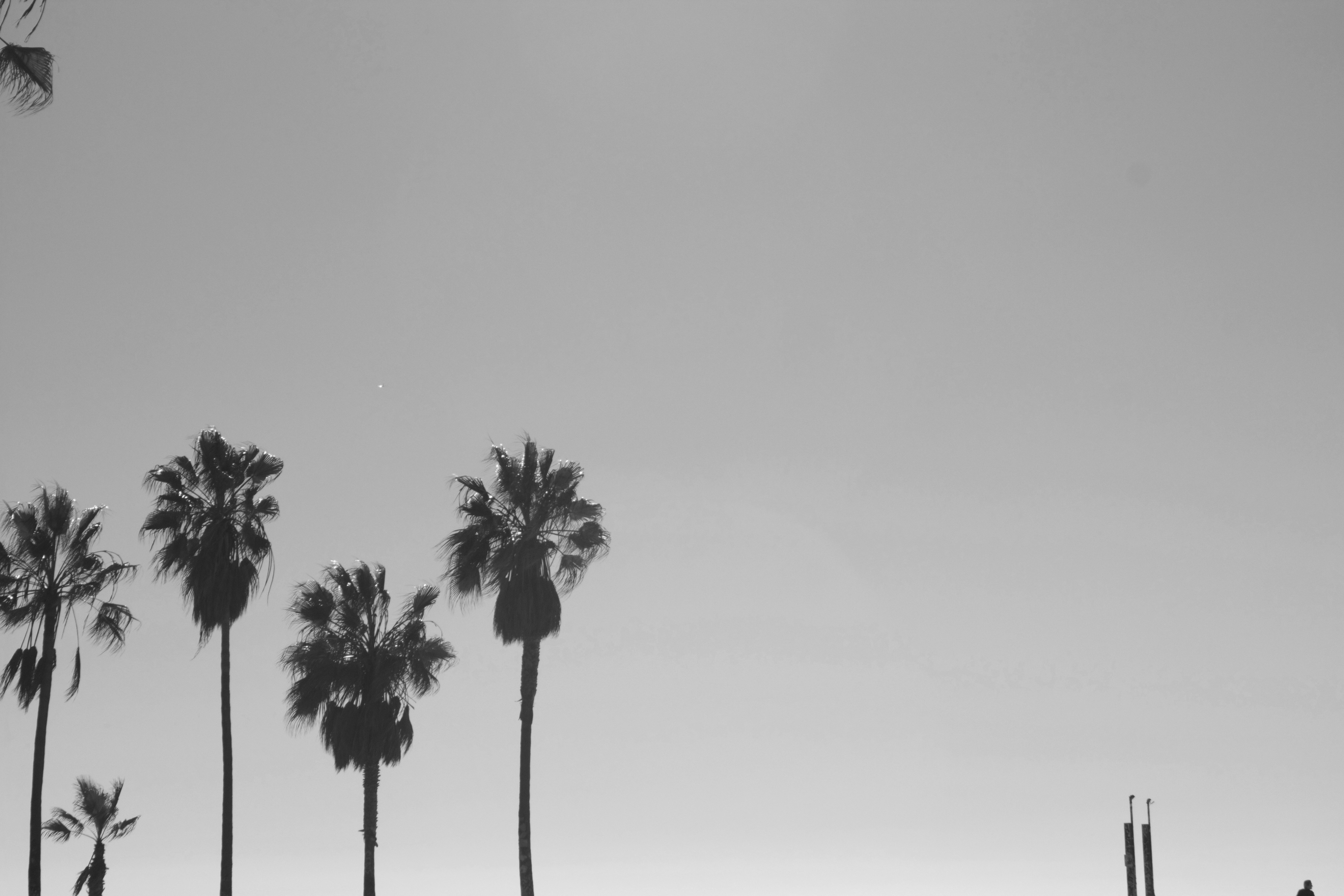 Free Unsplash photo from Liene Vitamante