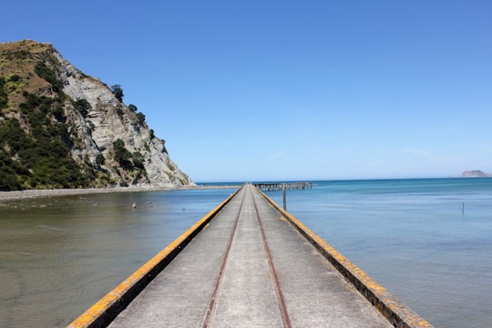 photo of grey and brown dock in Gisborne New Zealand