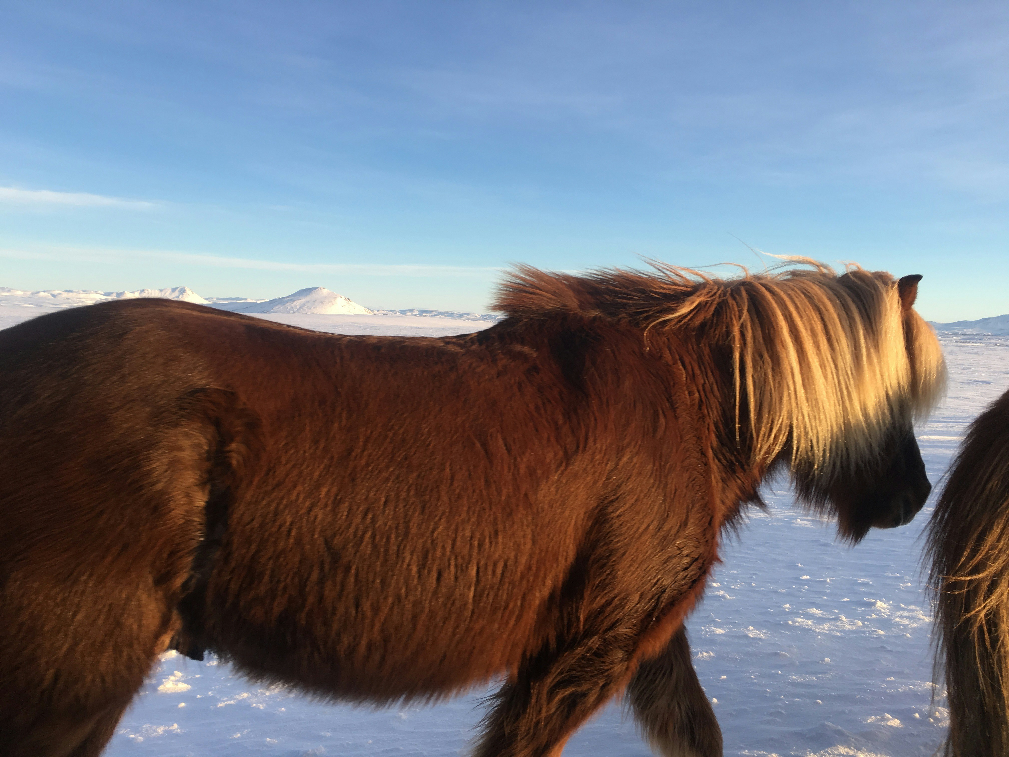 Free Unsplash photo from Taylor Wilson