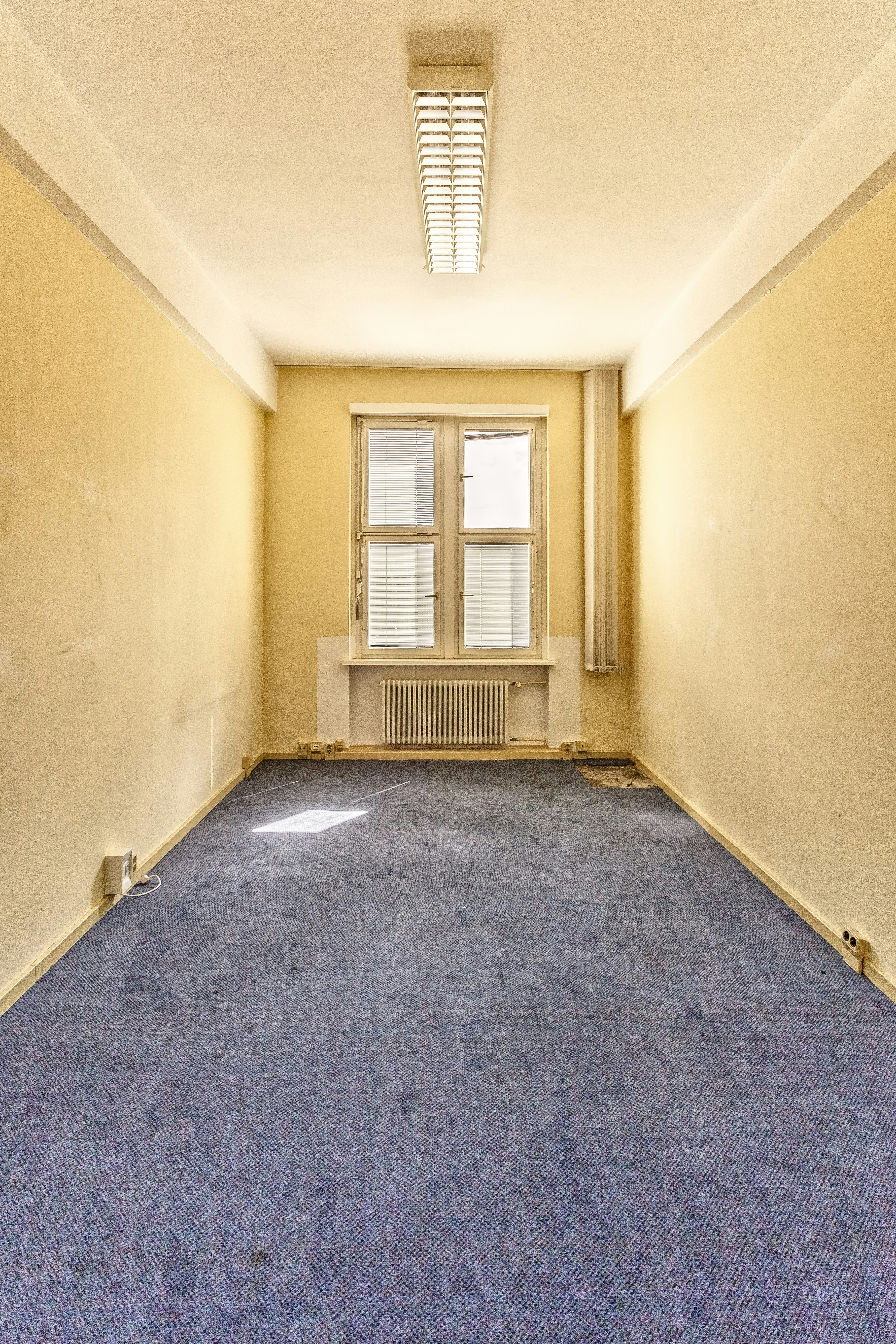 Photo By LoboStudio Hamburg