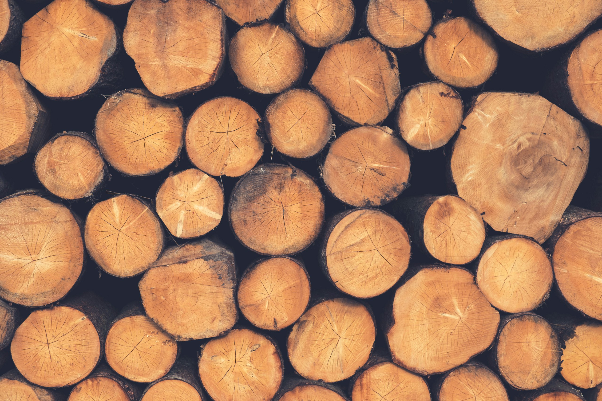flat lay photography of logs