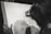 A person is engaged in a detailed drawing, focusing intently on the artwork. The drawing features intricate designs of flora and fauna, suggesting a theme of nature. The image is in black and white, enhancing the focus on the pencil work and the concentration of the artist.