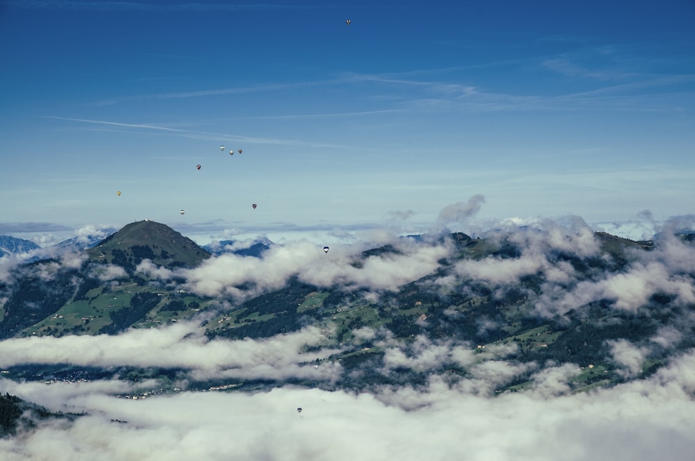 landscape photo of green trees with mountain