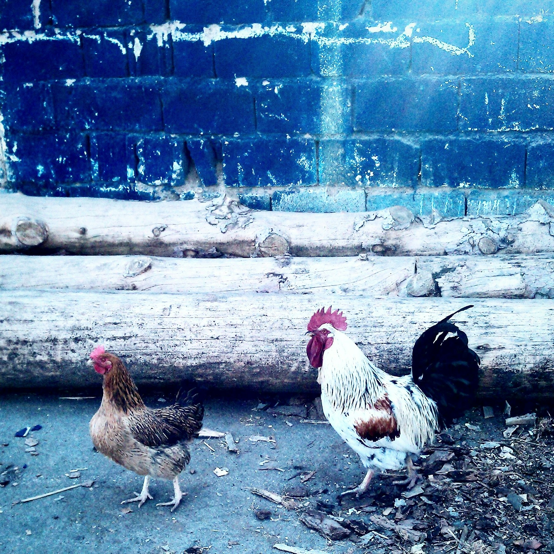 Free Unsplash photo from MOhammadreza Hamidi