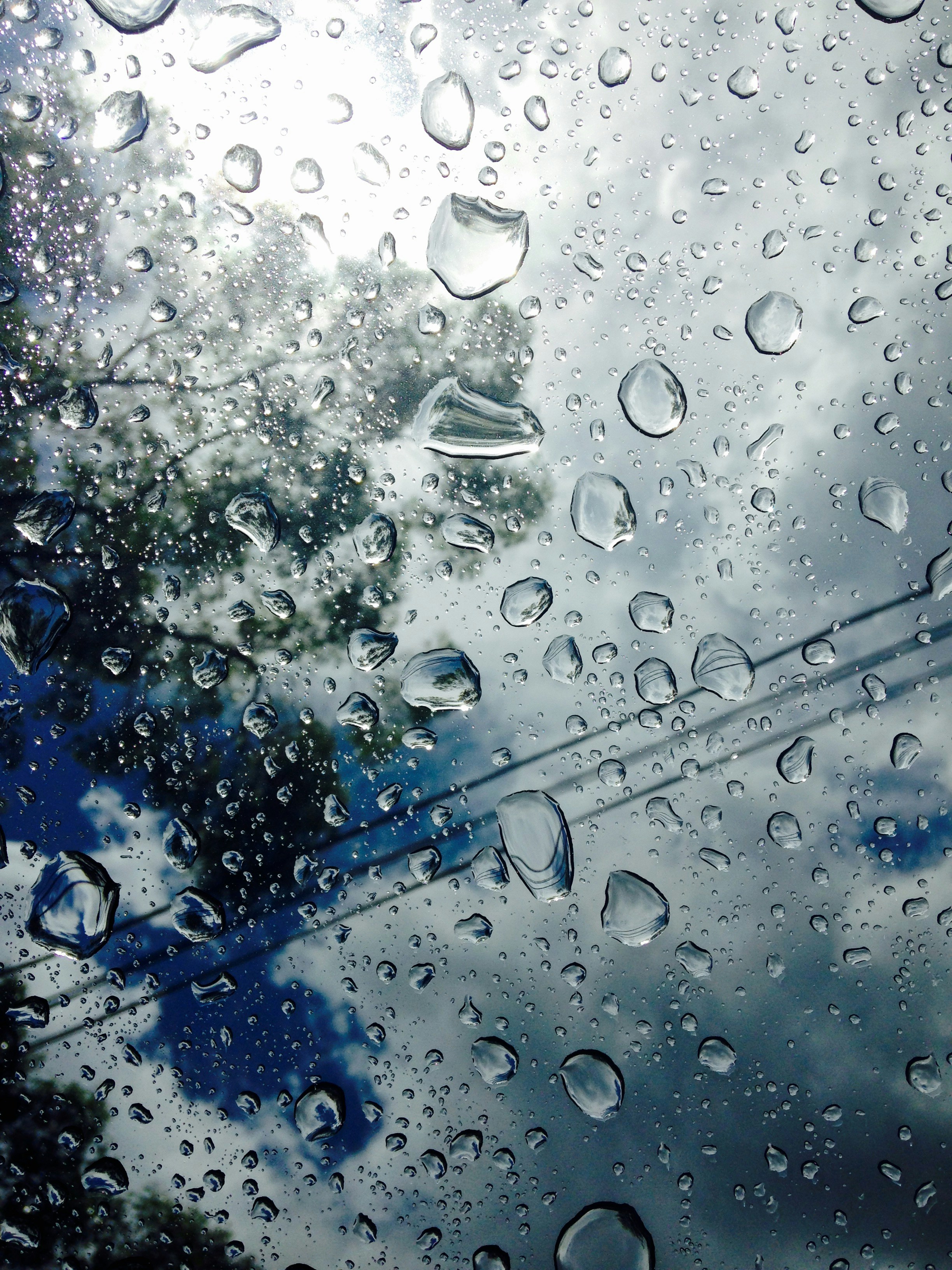 Free Unsplash photo from Vikram Ahi