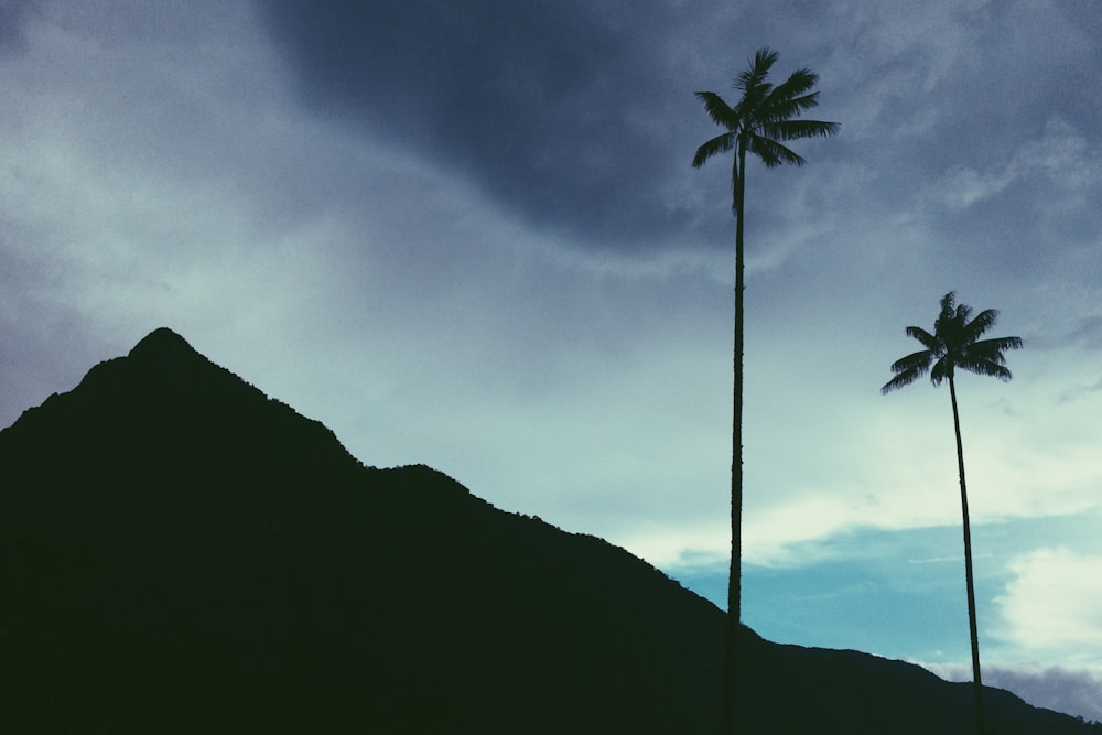 silhouette of mountain and trees