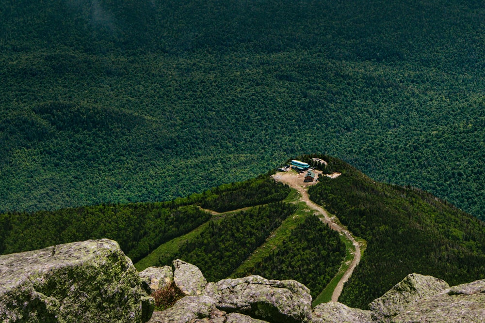 Photographie aérienne de montagnes vertes