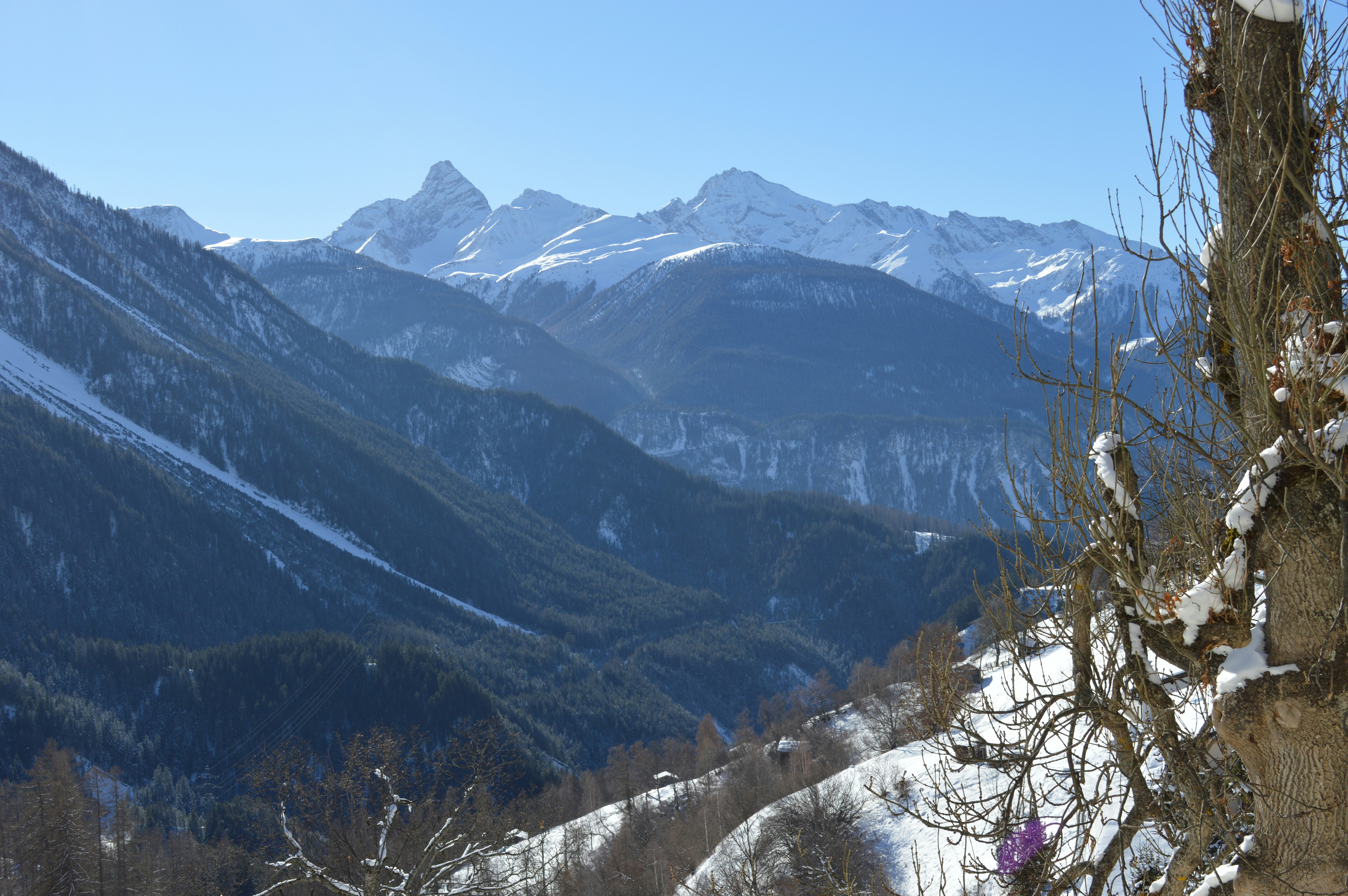 Free Unsplash photo from Alida Pham