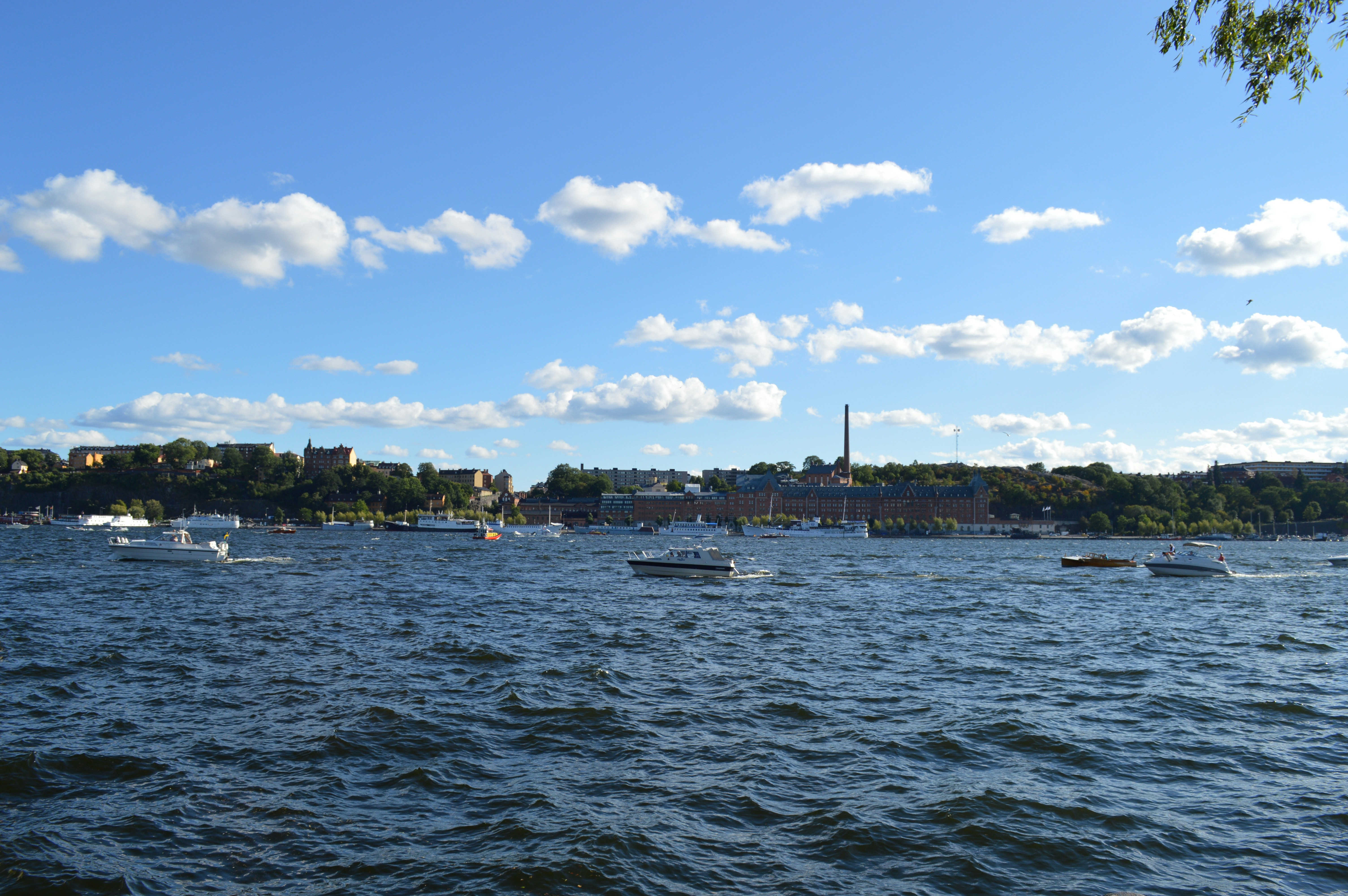 Free Unsplash photo from Alida Pham