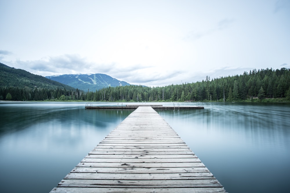 gray wooden sea dock near green pine trees under white sky at daytime