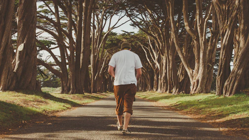 A serene outdoor scene with a person walking slowly among trees, embracing calmness.