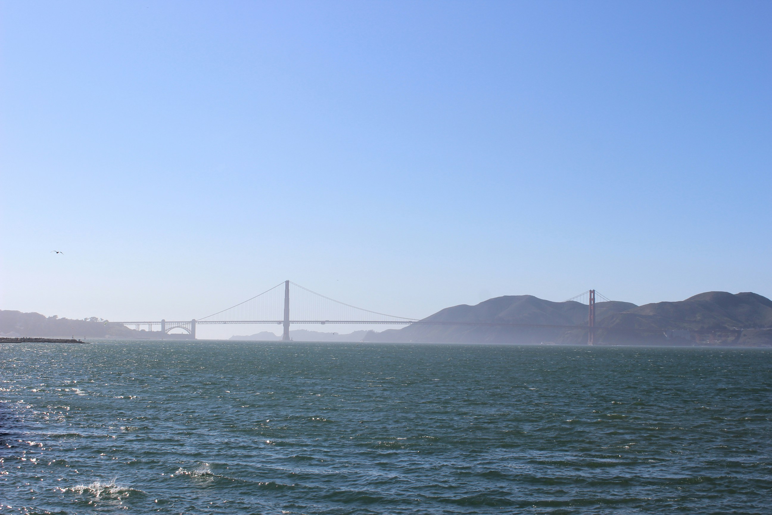 Free Unsplash photo from Jaxon Stevens