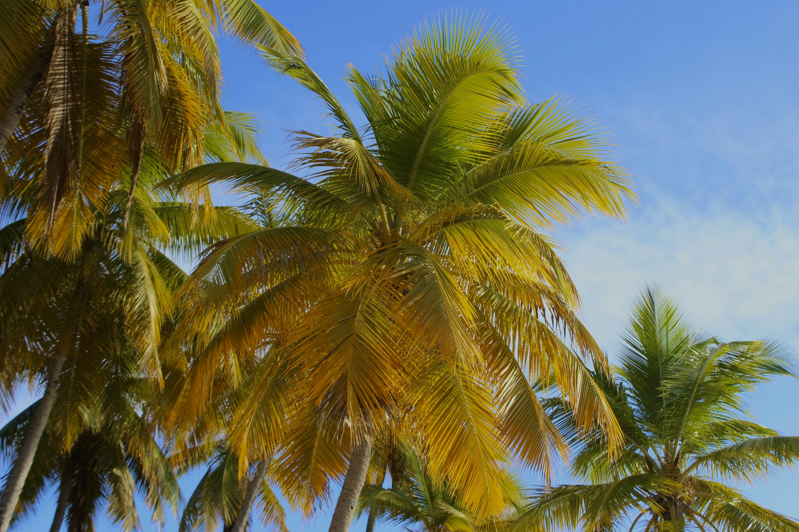 Free Unsplash photo from Jaxon Stevens