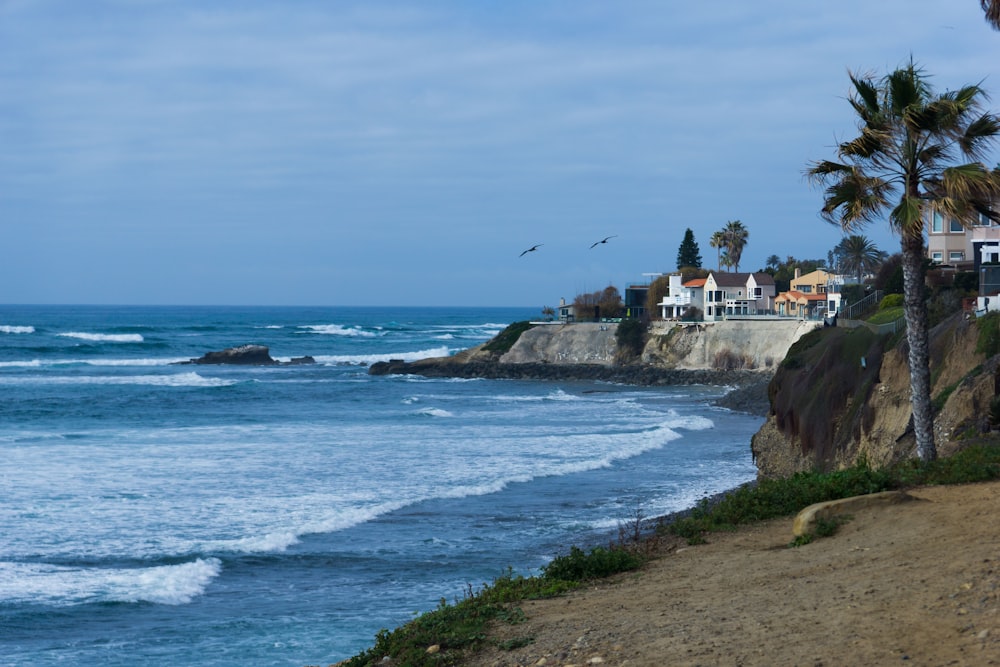 houses near ocean