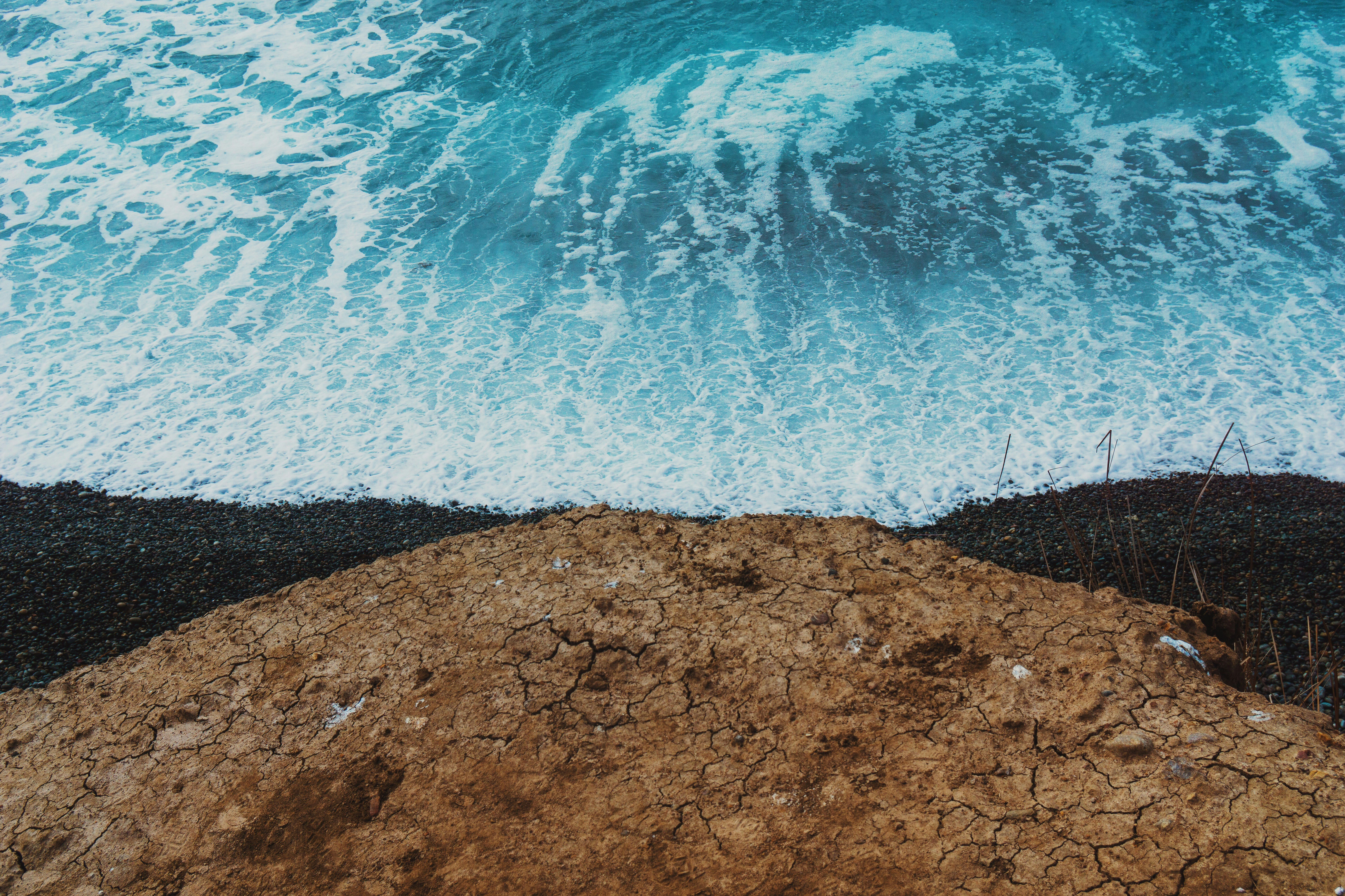 Photo By Wil Stewart