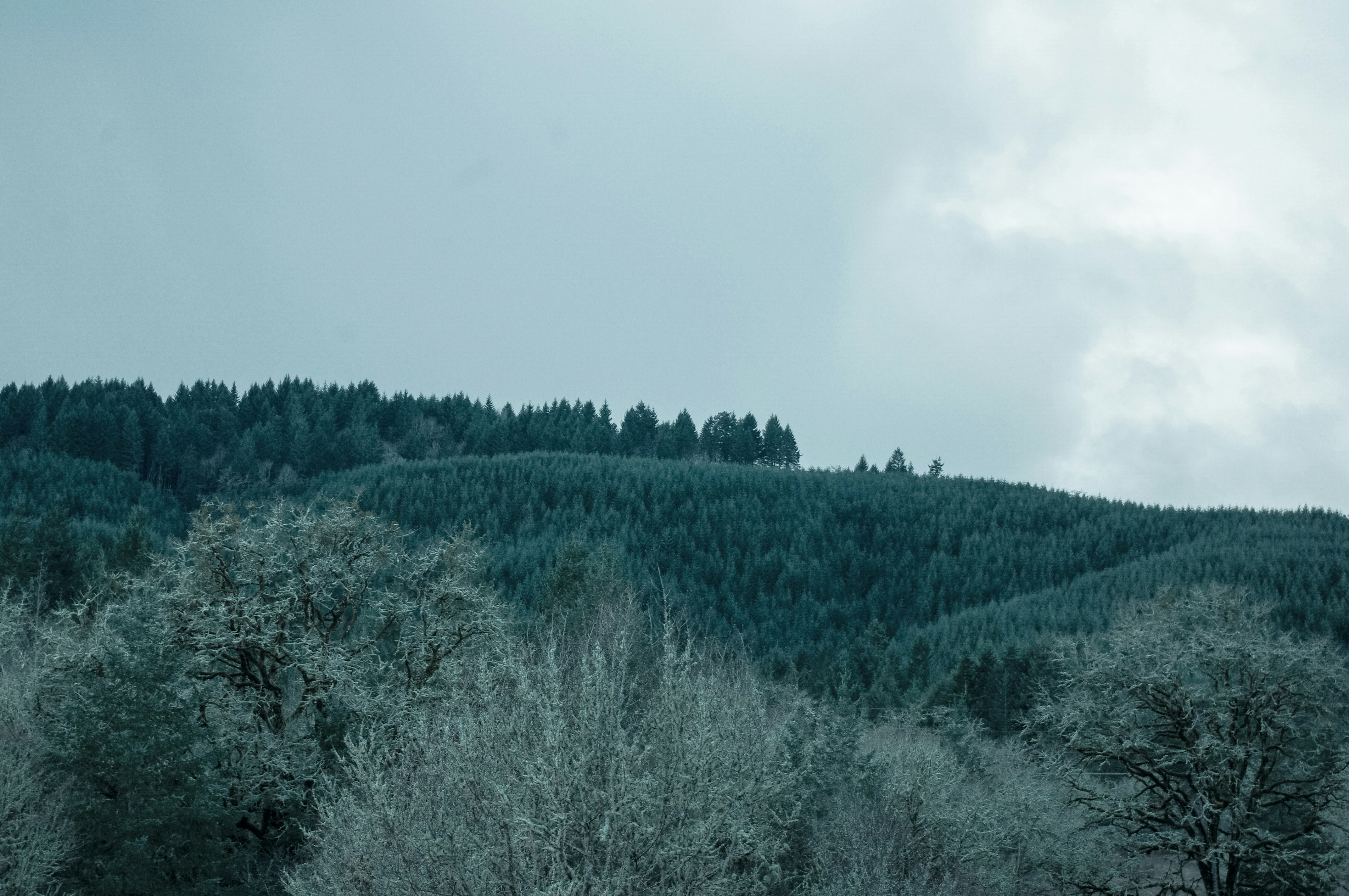 Free Unsplash photo from Siqo Wander