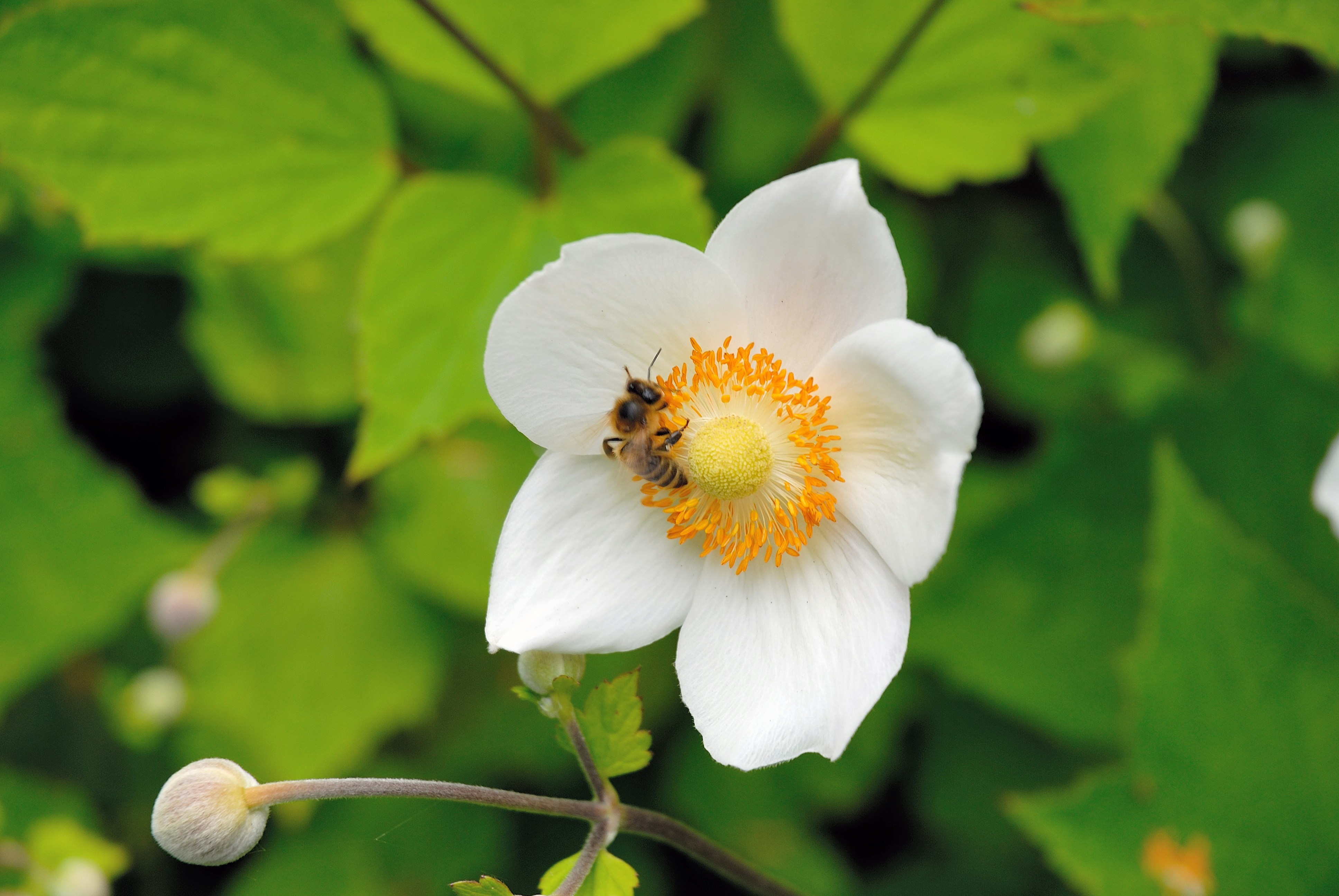 Free Unsplash photo from richard CARTLEDGE